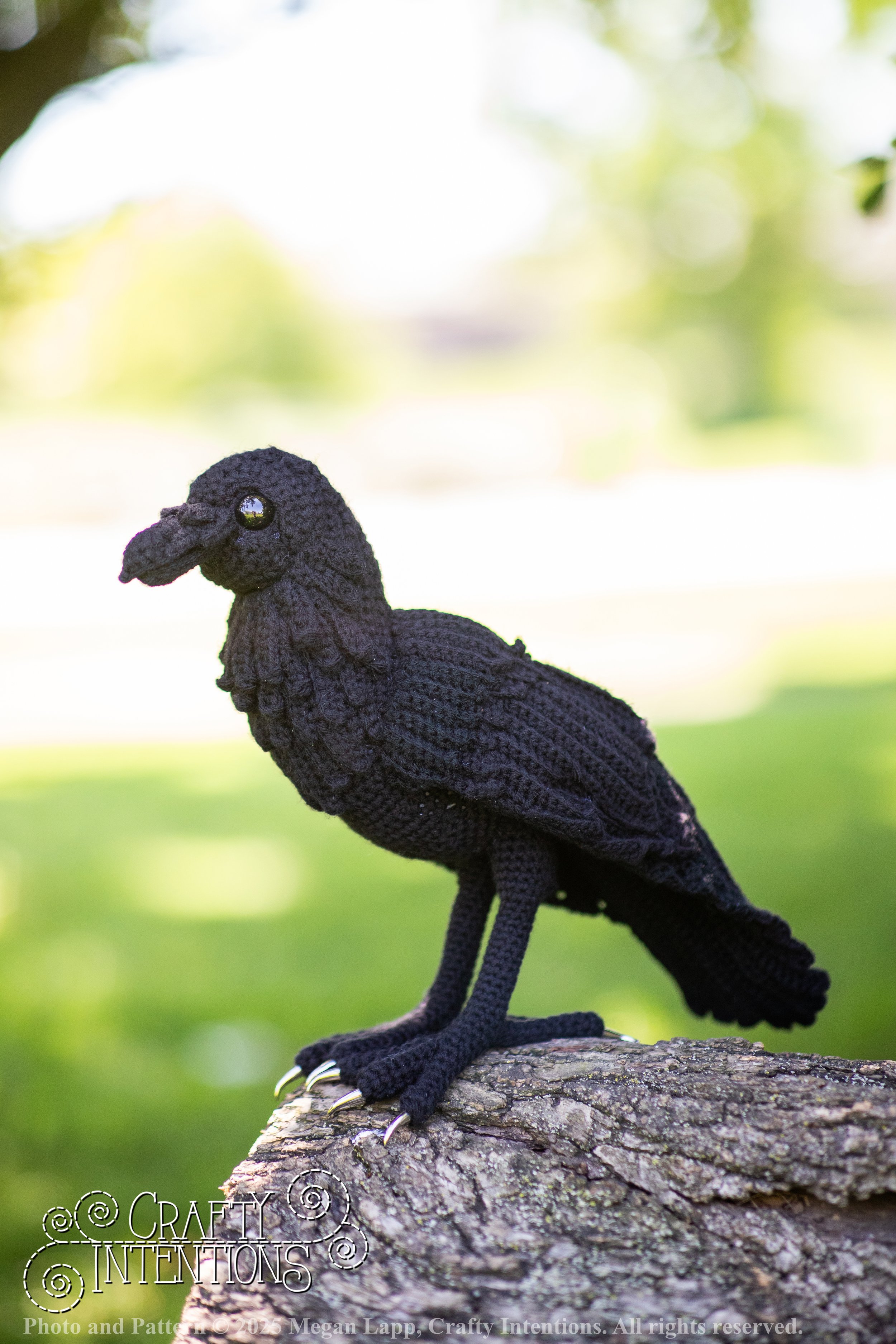 IMG_4114edited standing raven1 wlac.jpg