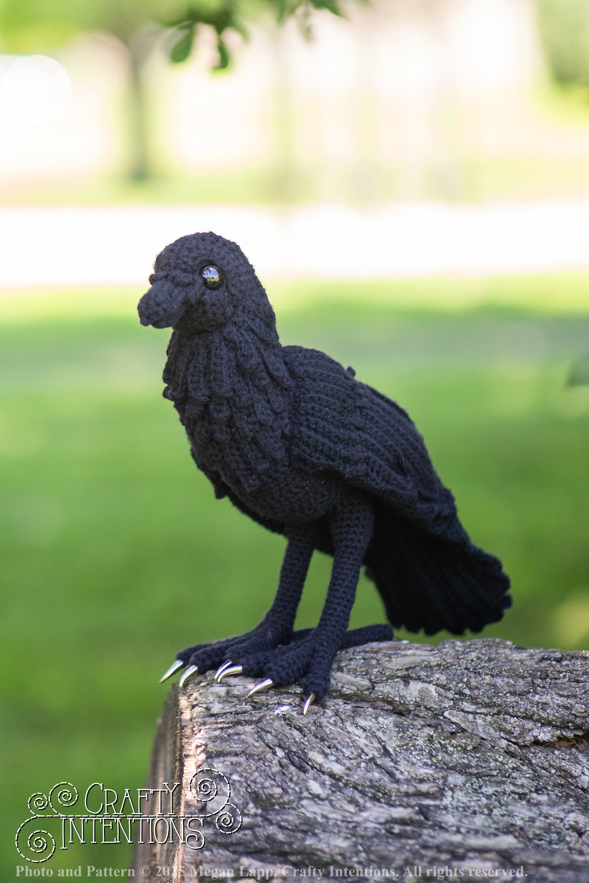 IMG_4119edited standing raven1 wlac.jpg