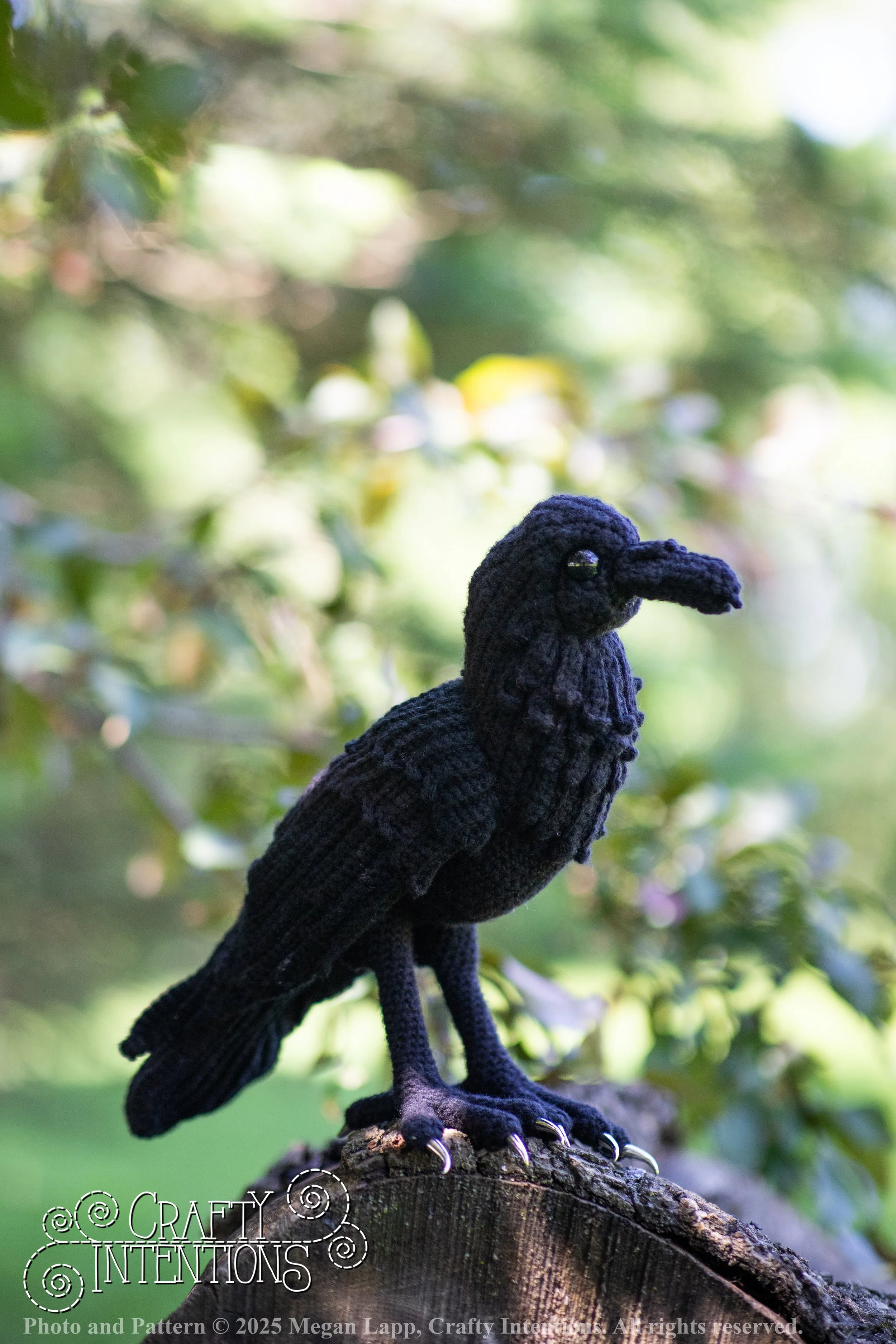 IMG_4123edited standing raven wlac.jpg