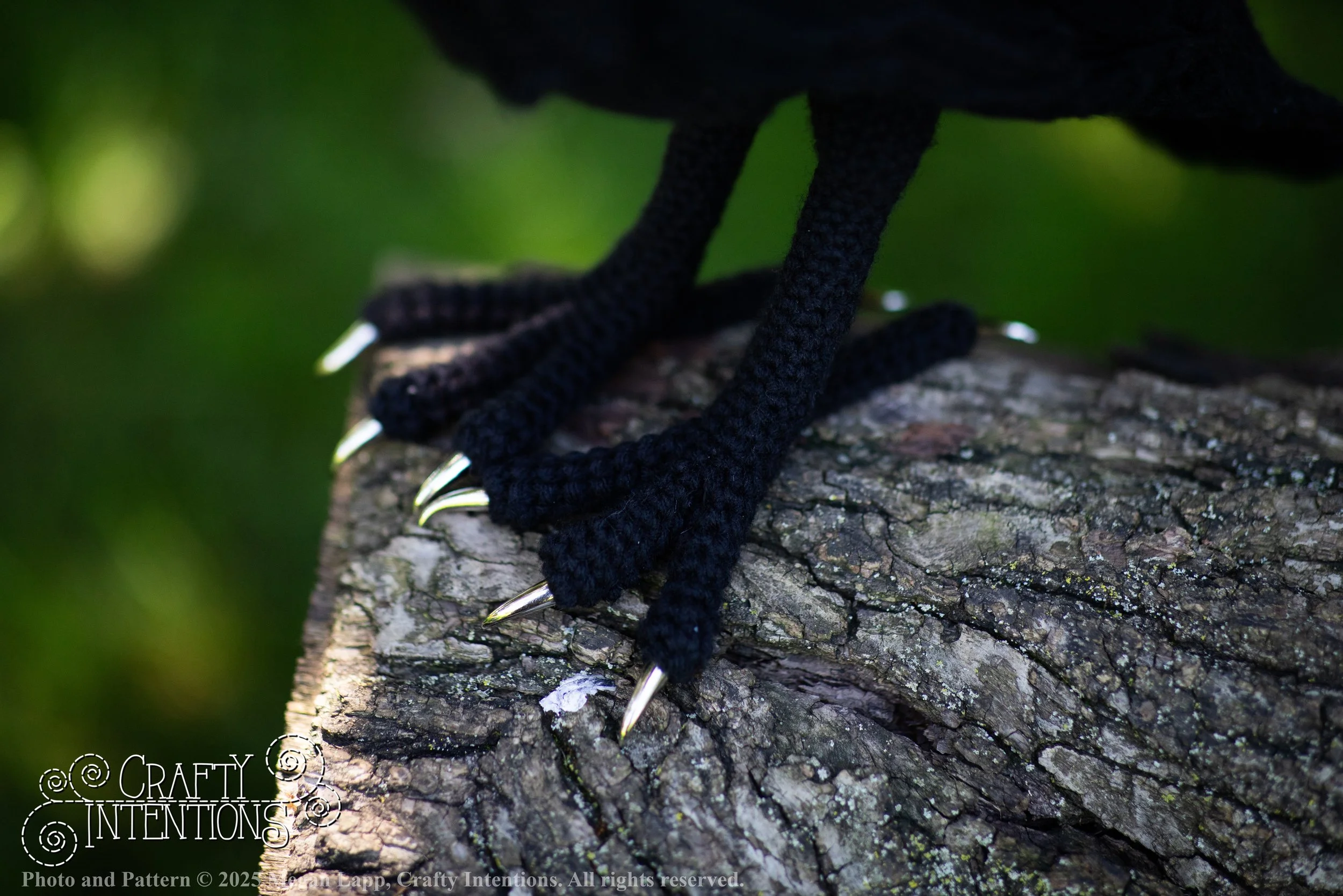 IMG_4137edited standing raven wlac.jpg