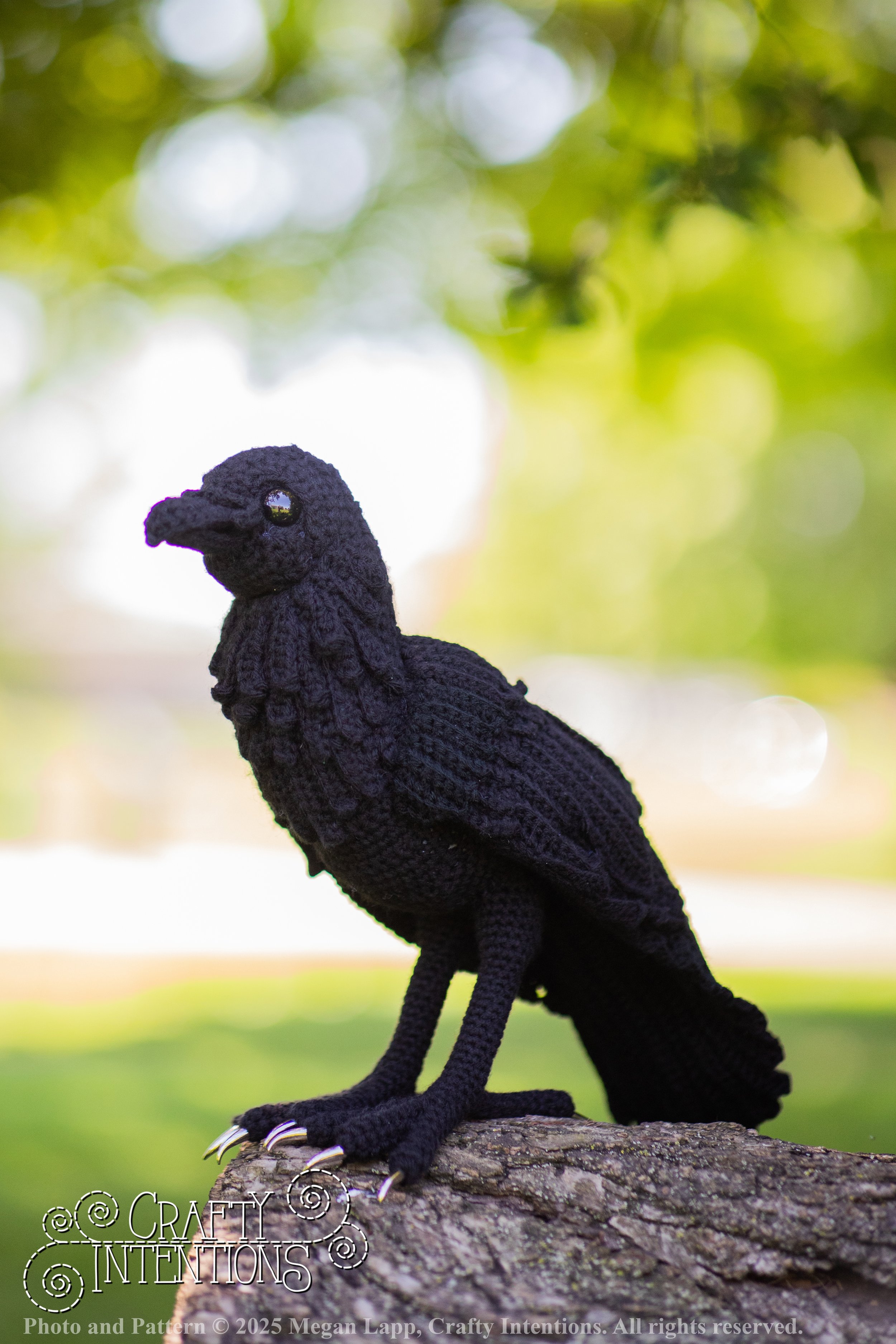 IMG_4143edited standing raven1 wlac.jpg