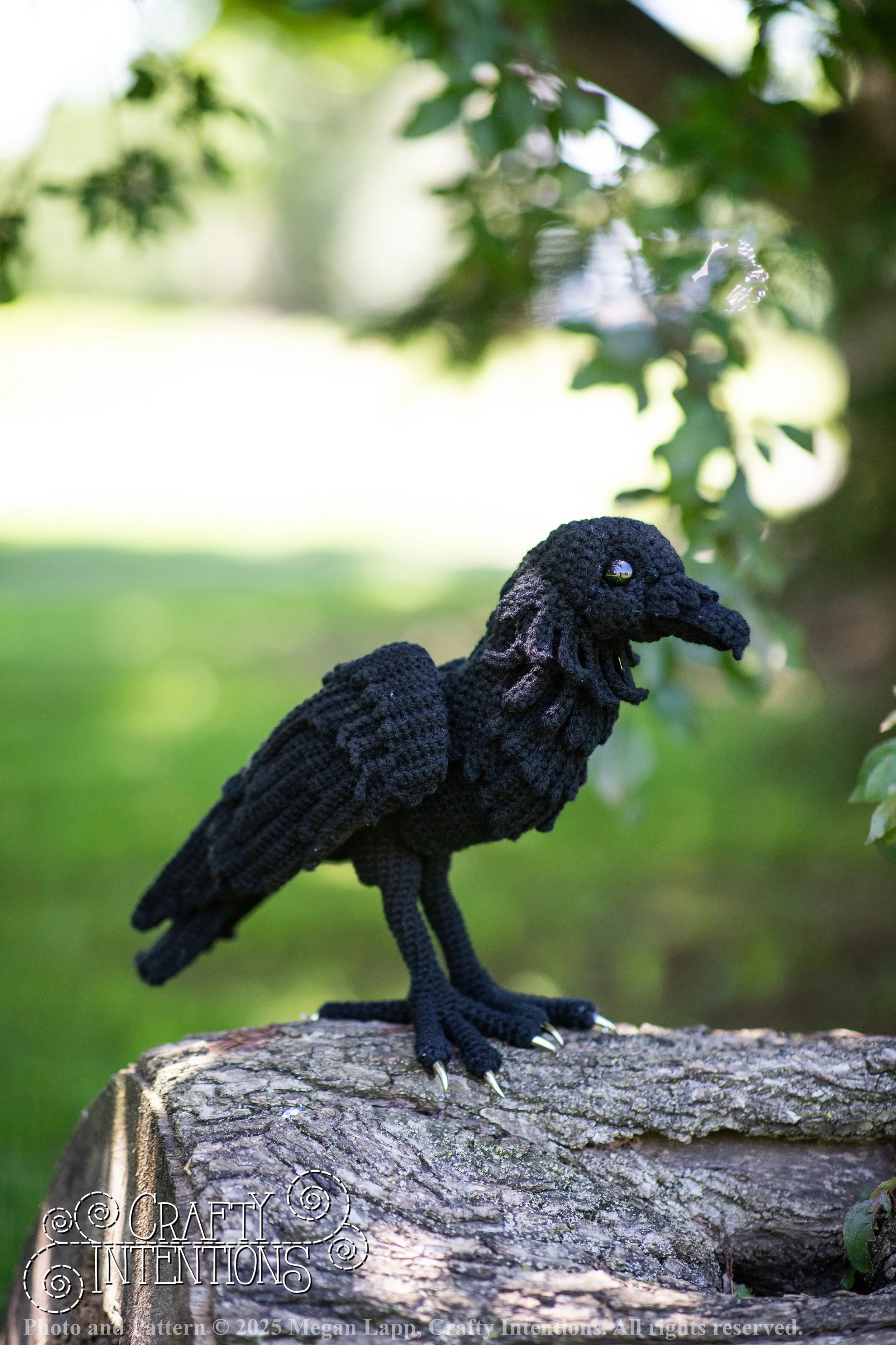 IMG_4147edited standing raven wlac.jpg
