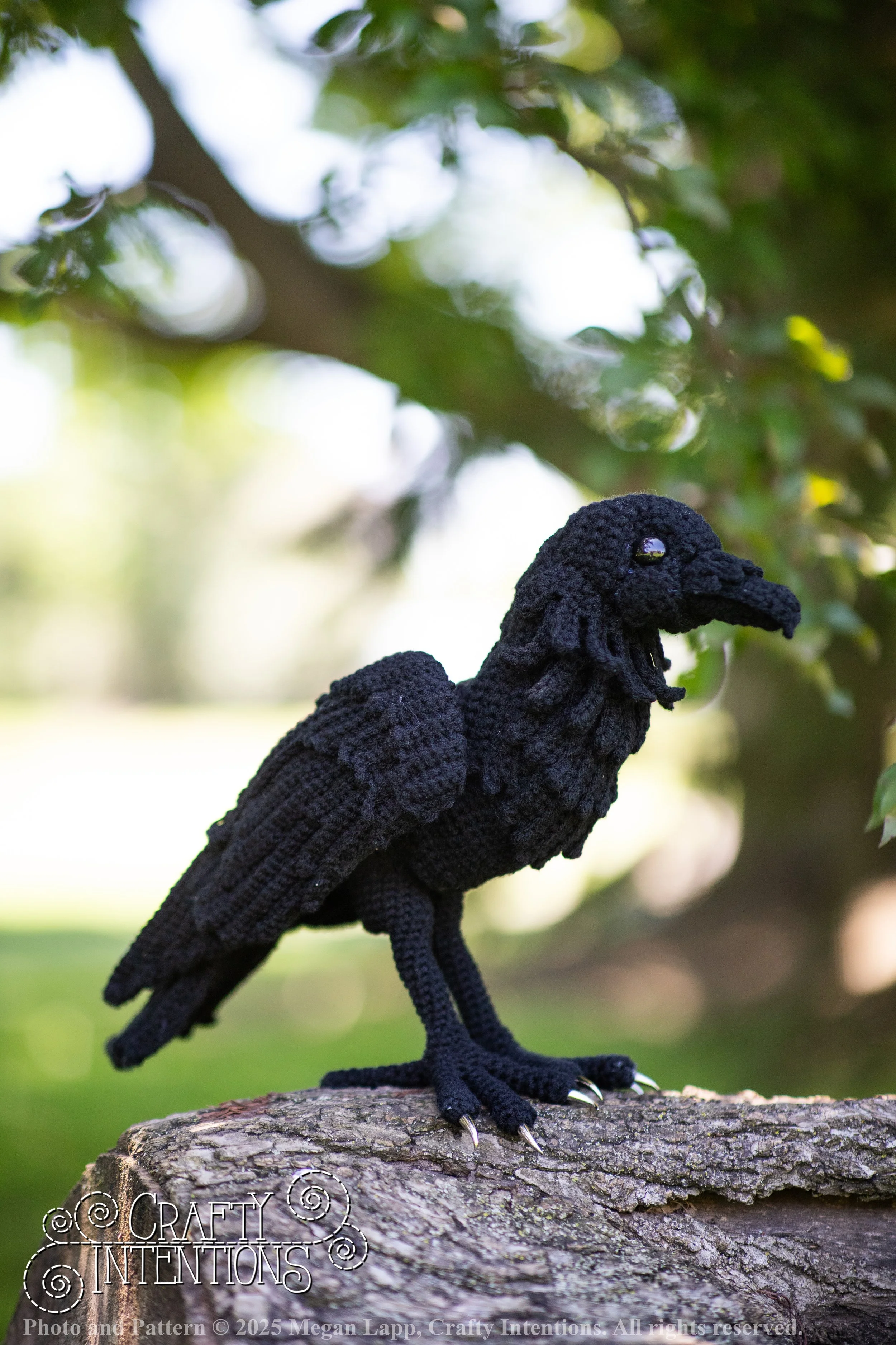 IMG_4154edited standing raven wlac.jpg