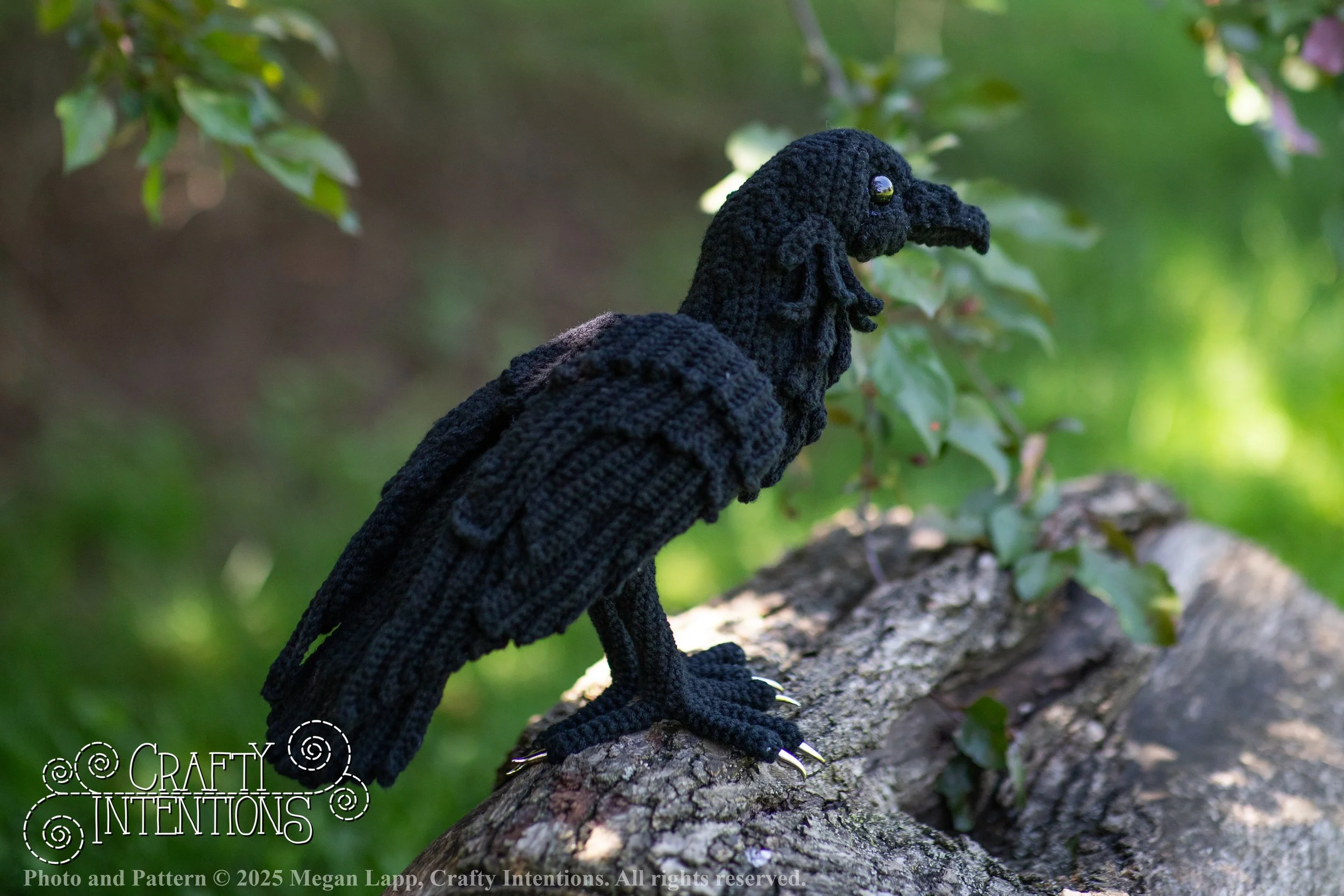IMG_4164edited standing raven1 wpdf.jpg