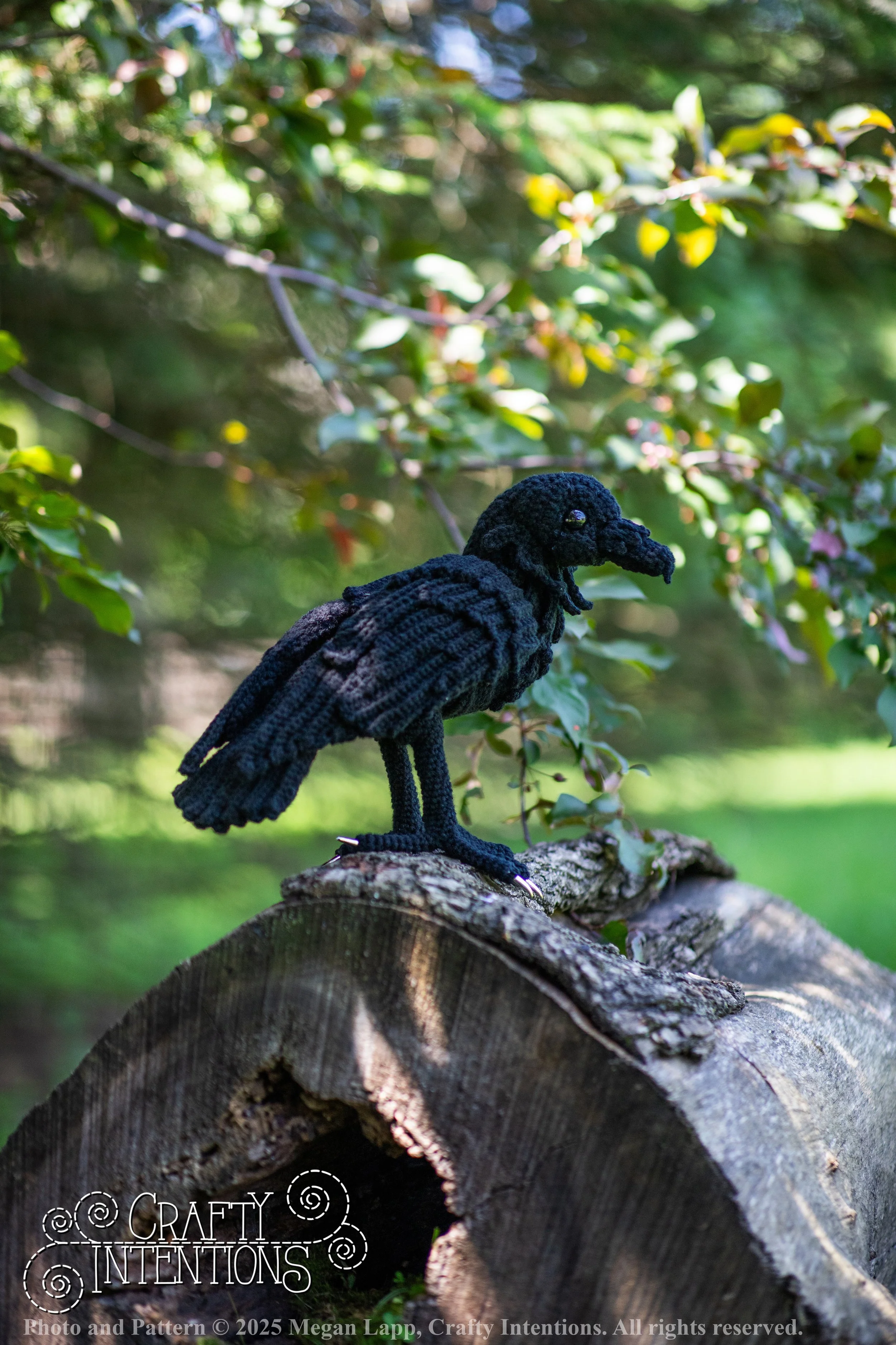 IMG_4175edited standing raven wlac.jpg