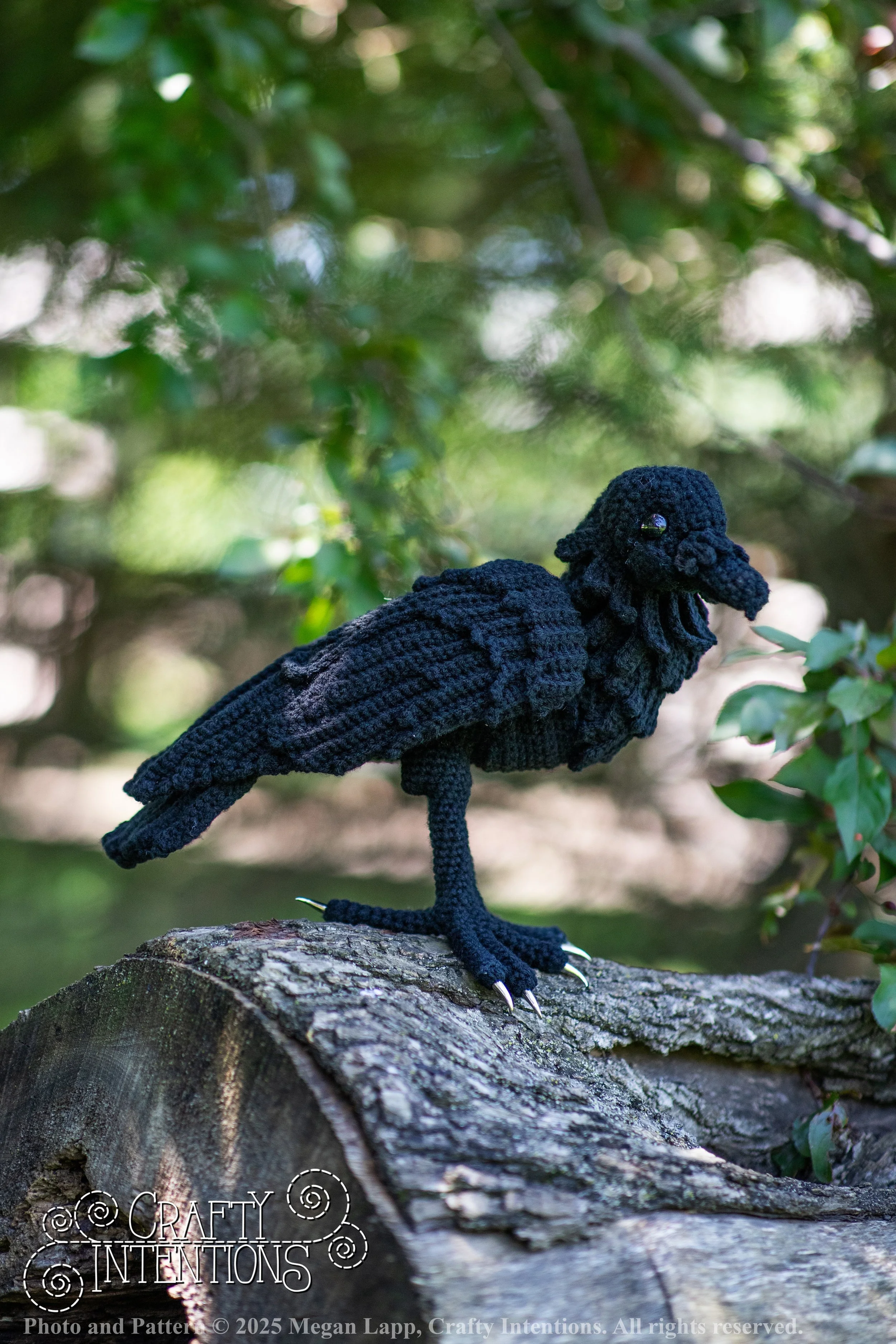 IMG_4182edited standing raven1 wlac.jpg