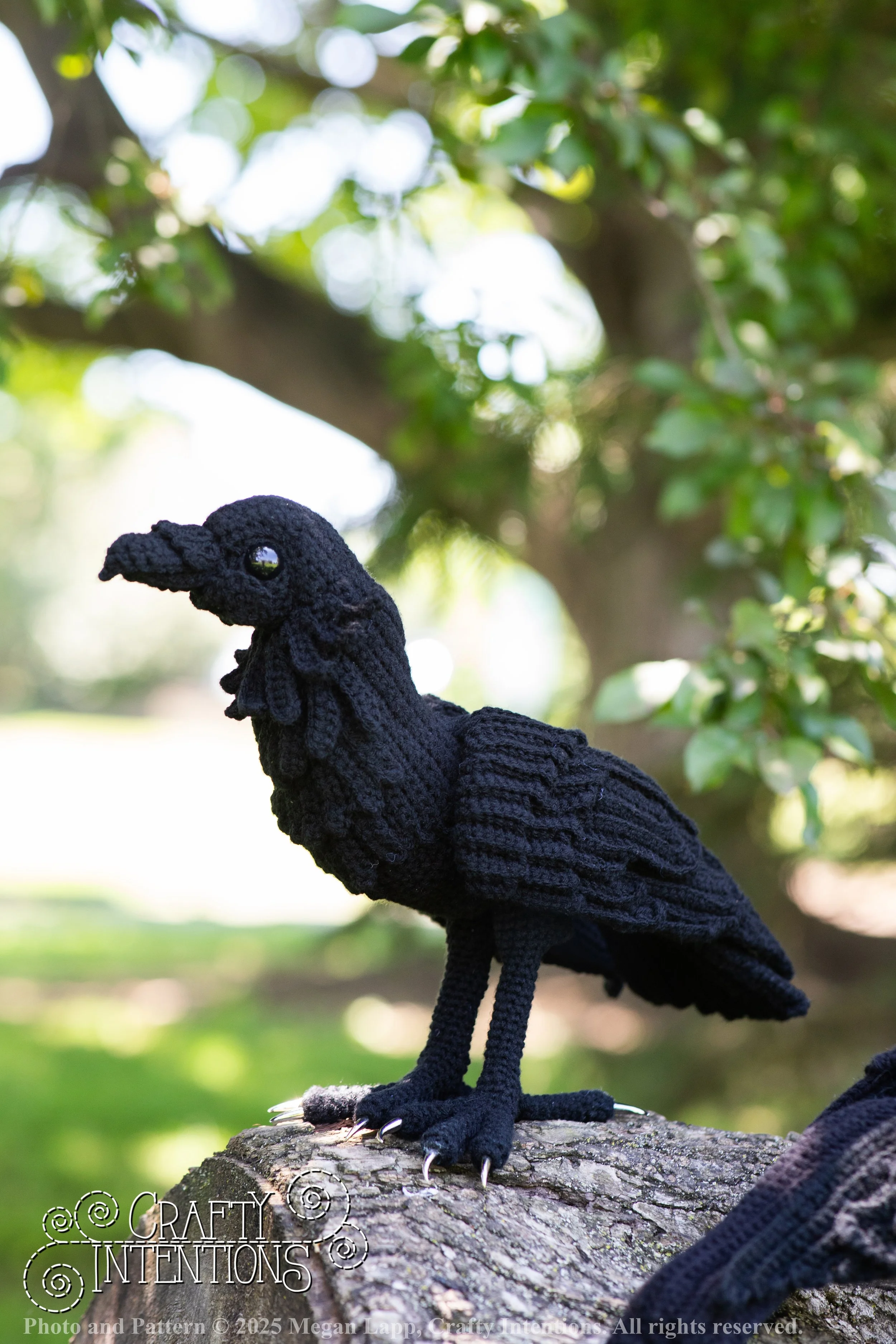 IMG_4242edited standing raven wlac.jpg