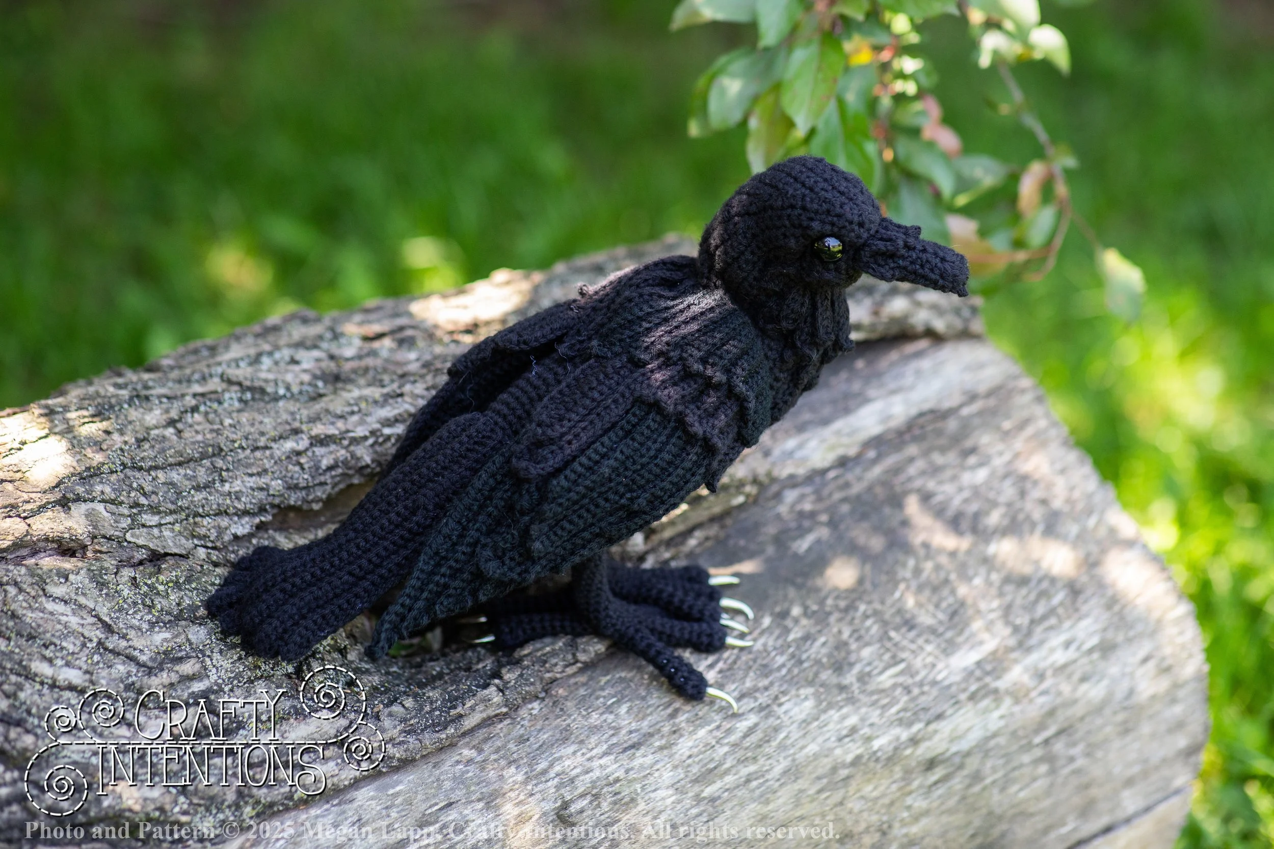 IMG_4269edited standing raven wlac.jpg