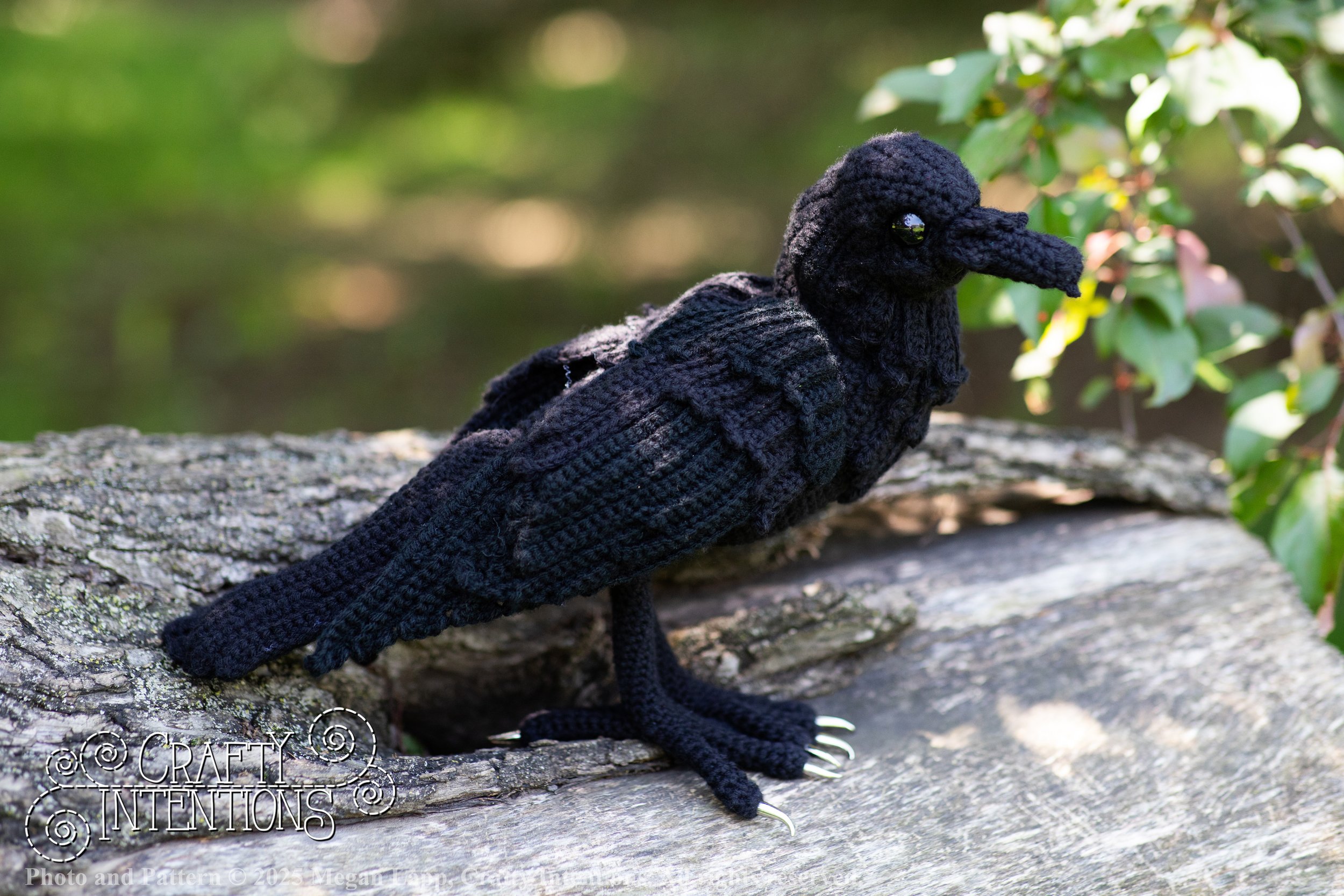 IMG_4277edited standing raven wlac.jpg