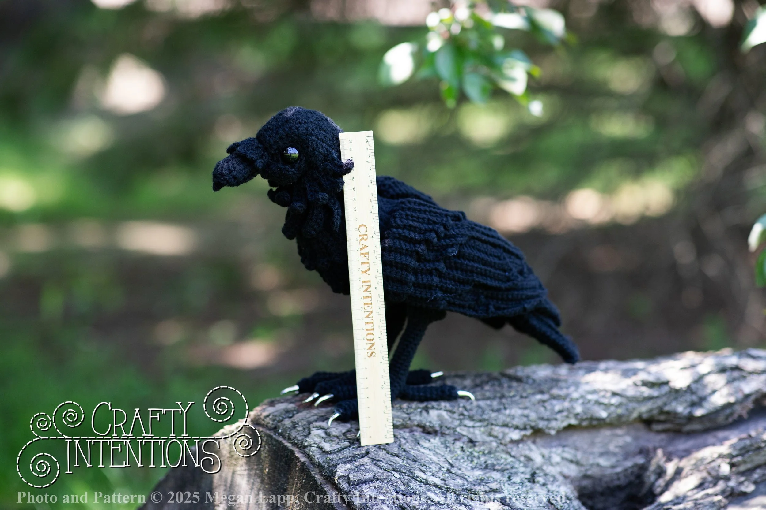 IMG_4284edited standing raven wlac.jpg