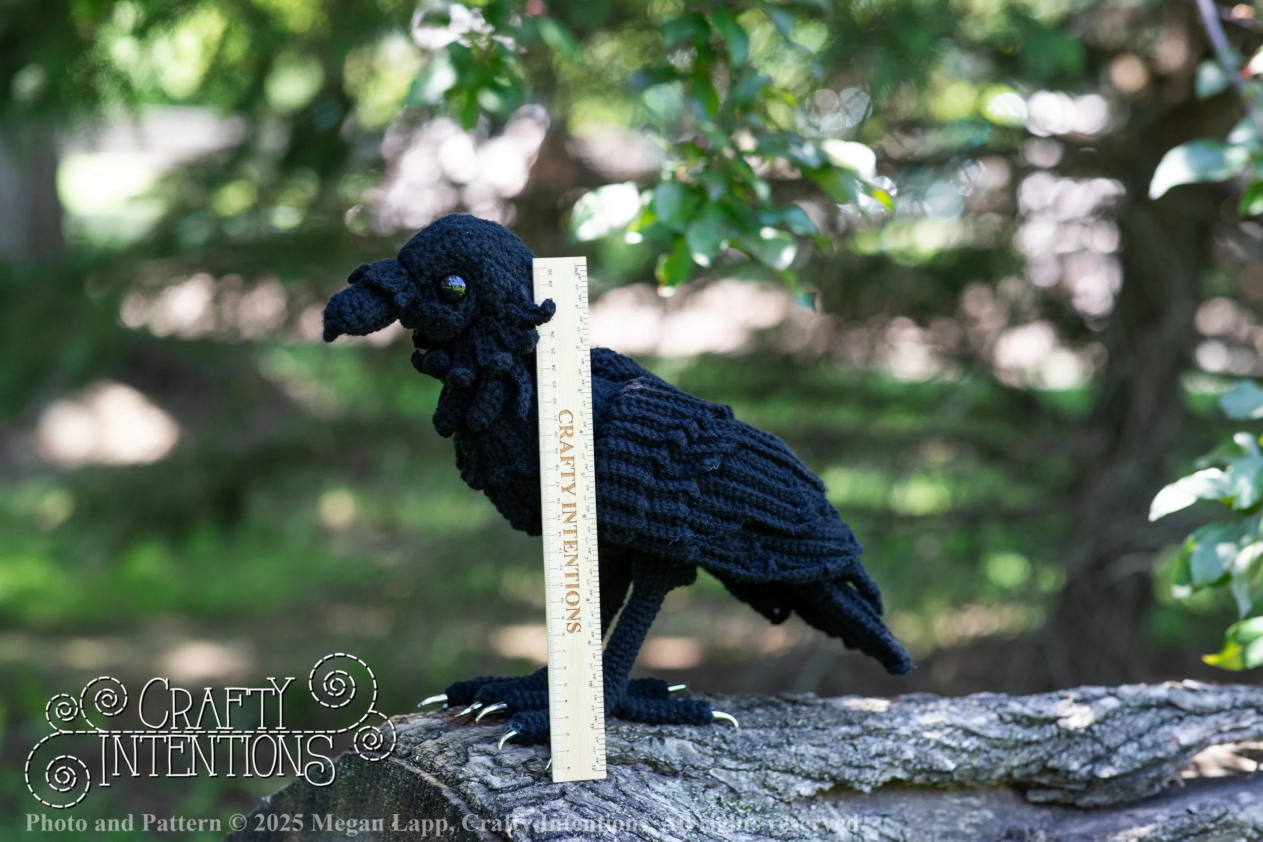 IMG_4292edited standing raven wlac.jpg