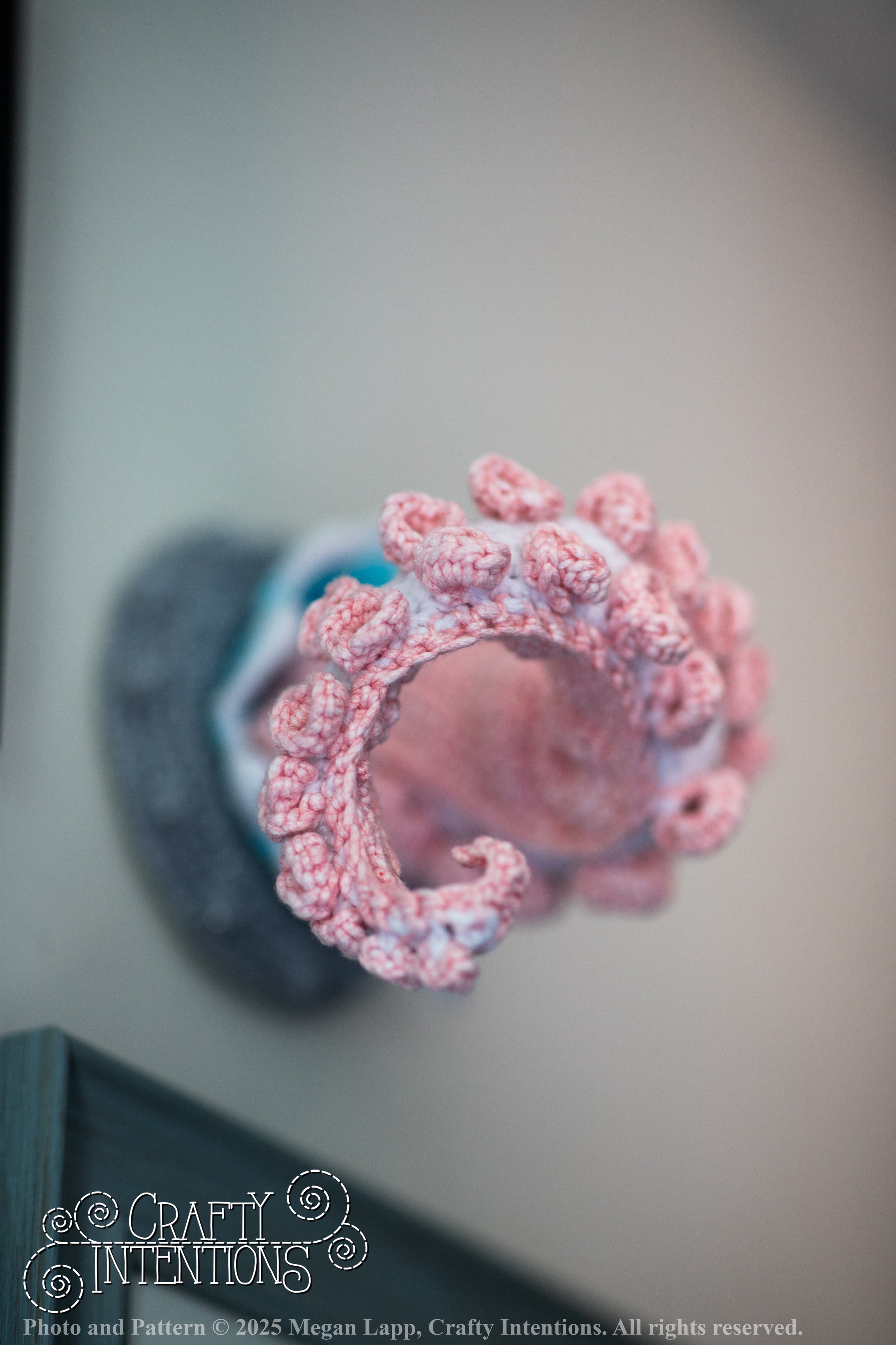 IMG_9373Edited porthole tenticle wlac.jpg