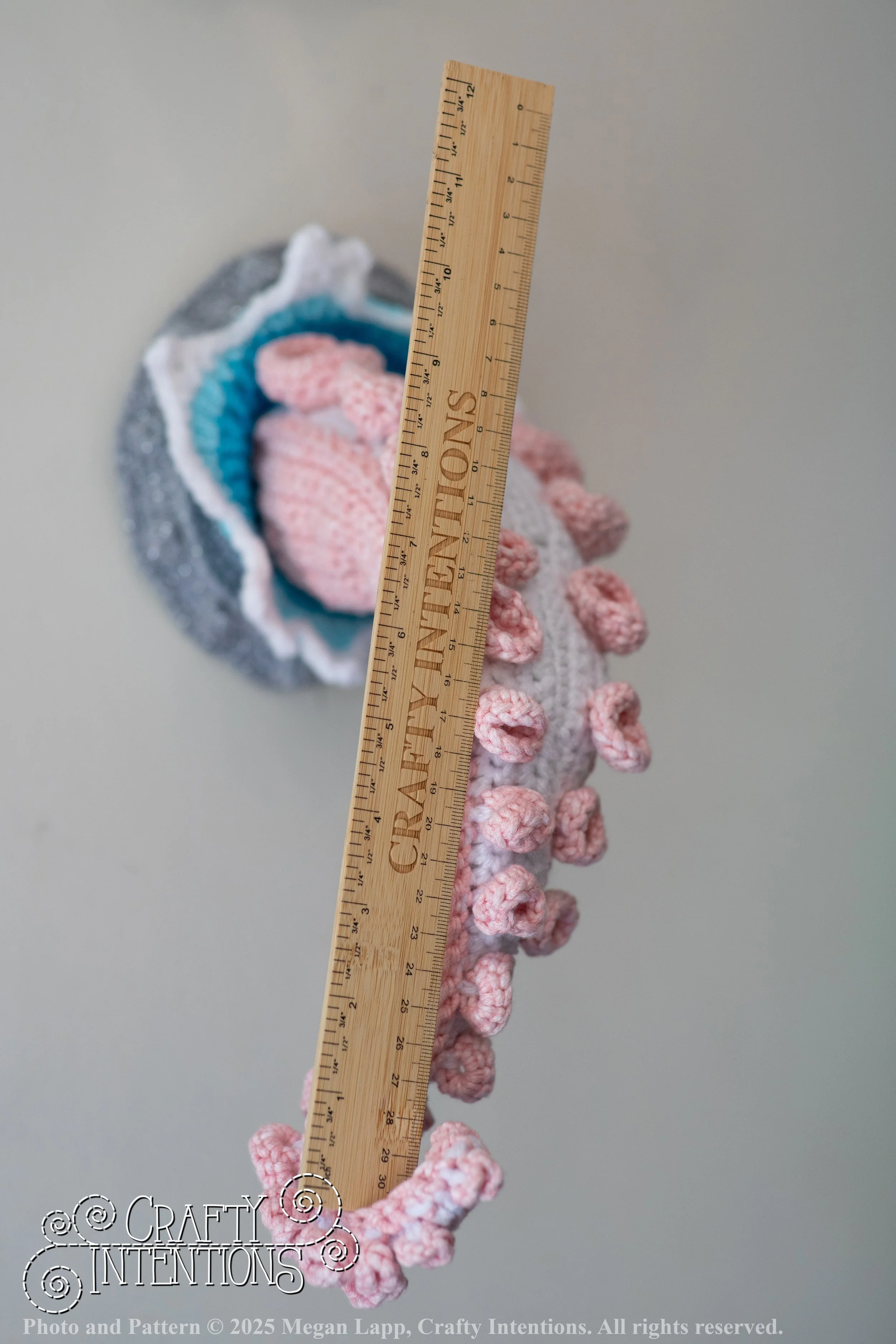 IMG_9516Edited porthole tenticle wlac.jpg