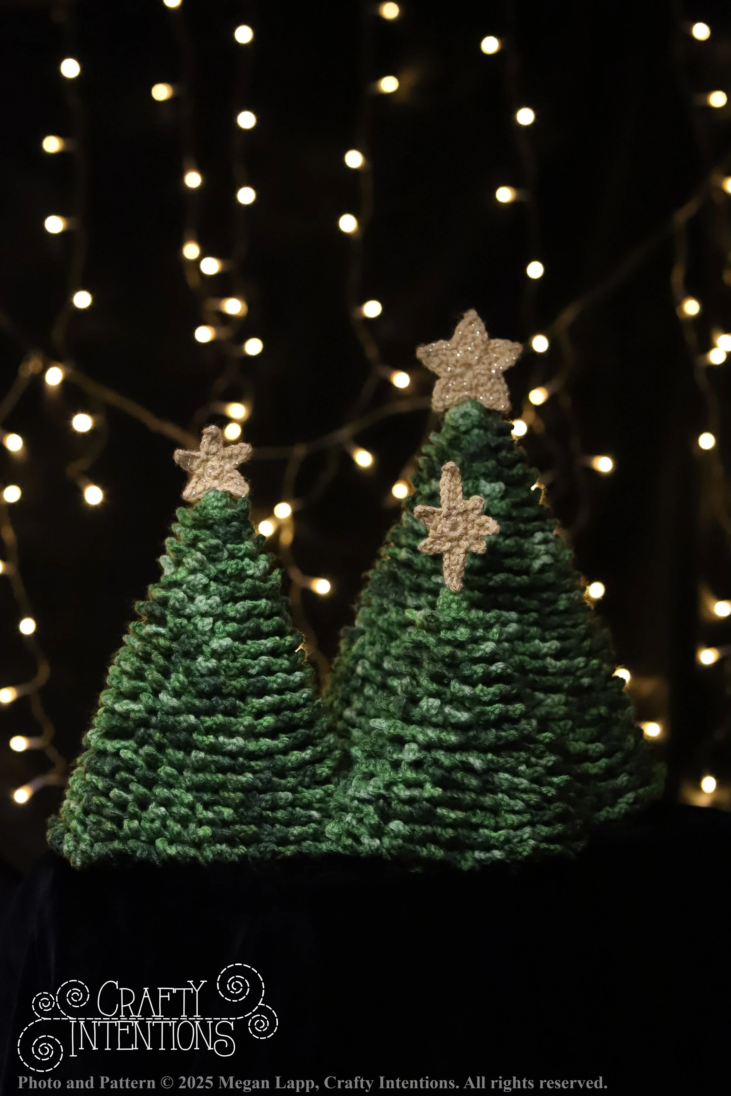 S2 IMG_0240 wlac.jpg