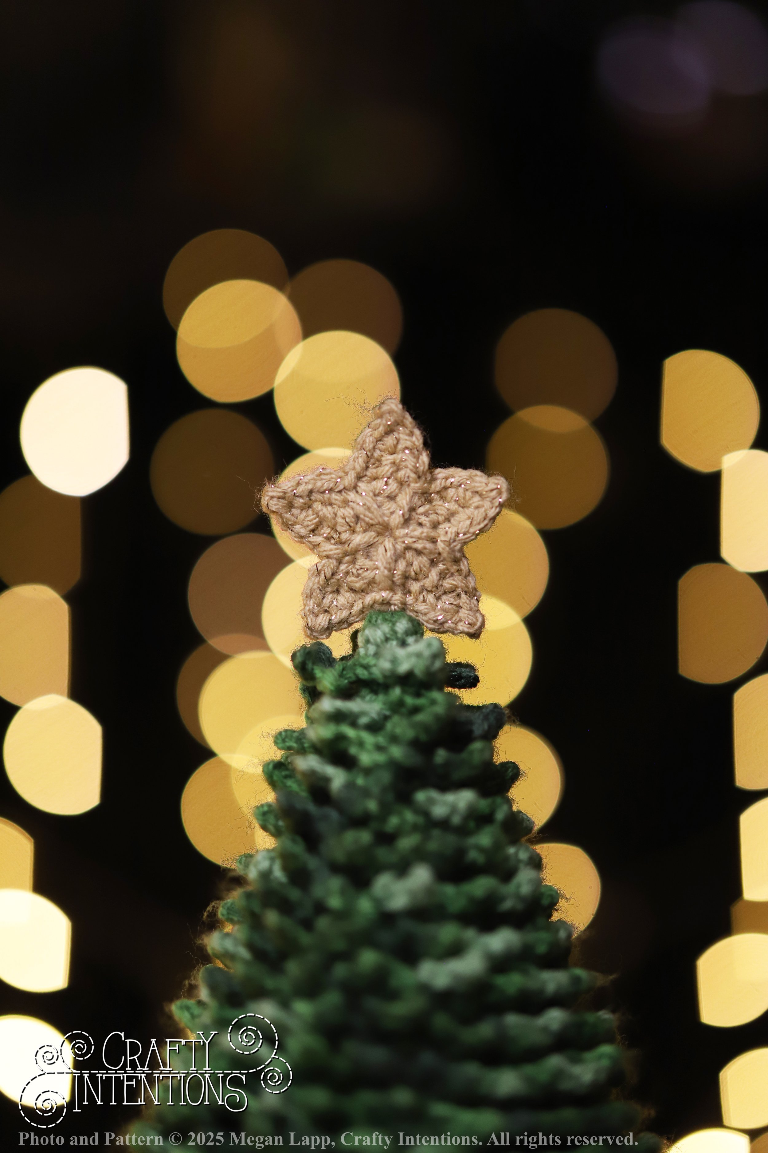 S2 L IMG_0161edited wlac.jpg