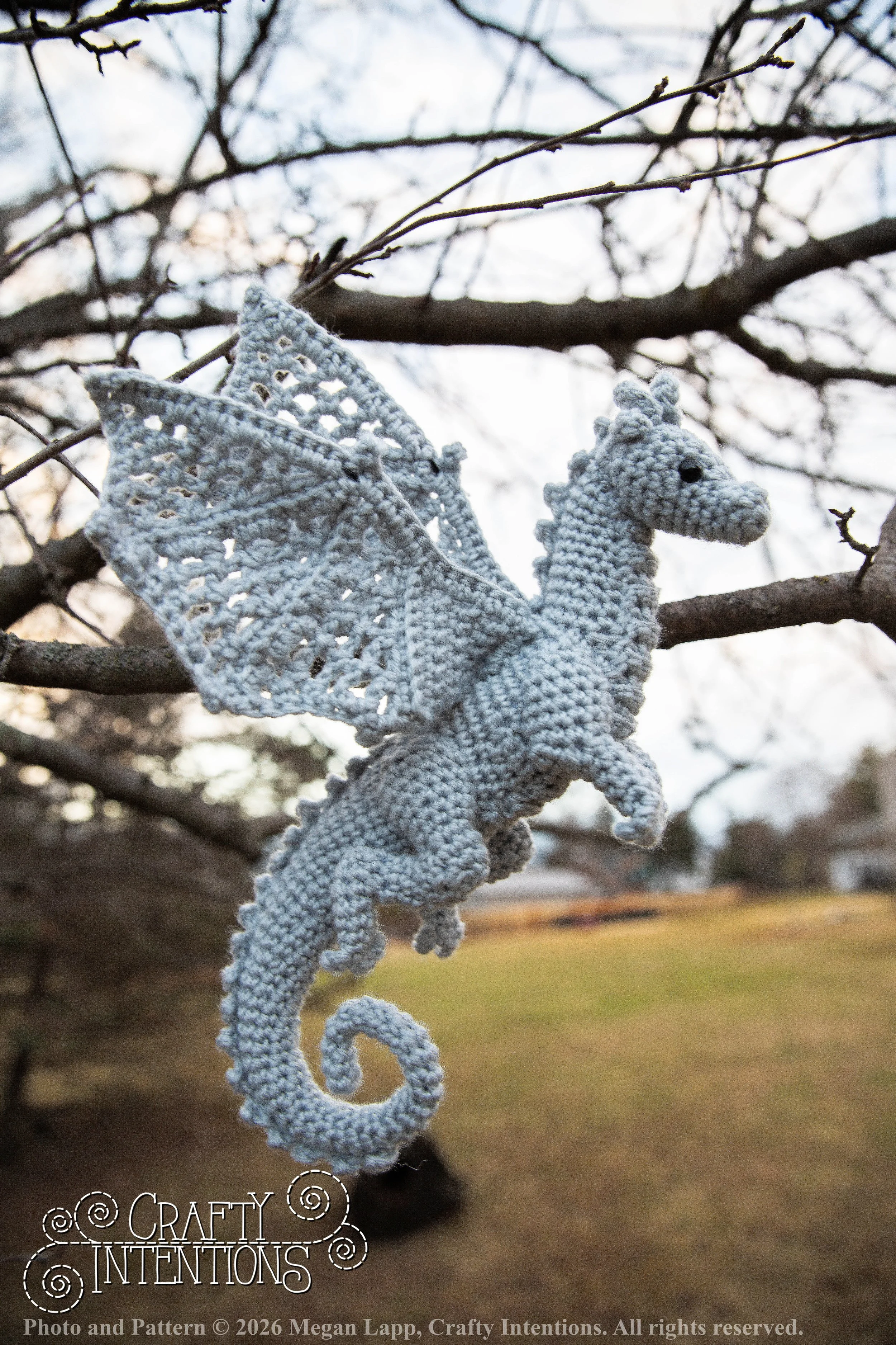 IMG_3072Edited Lace wing dragon2 wlac.jpg