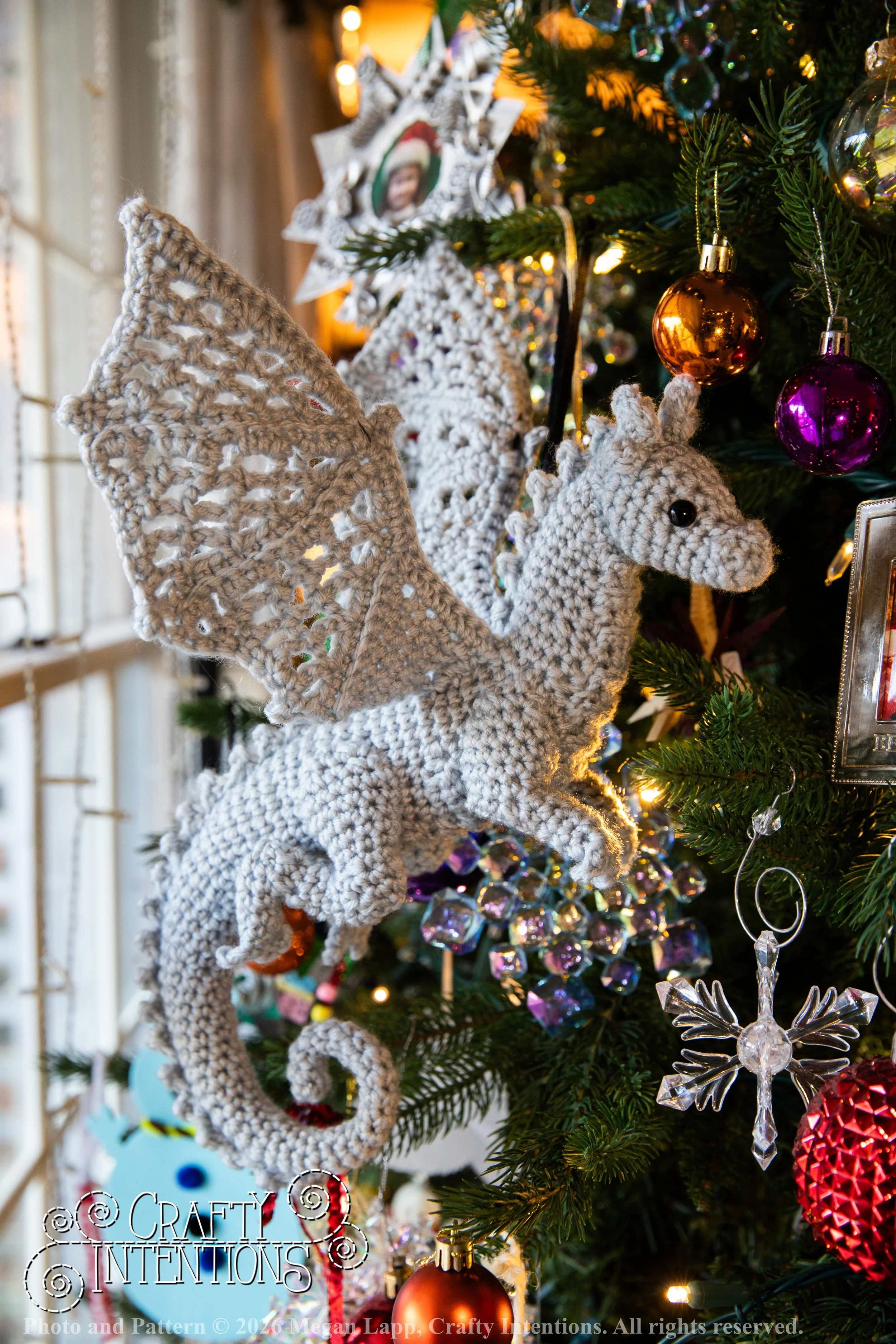 IMG_3049Edited Lace wing dragon wlac.jpg