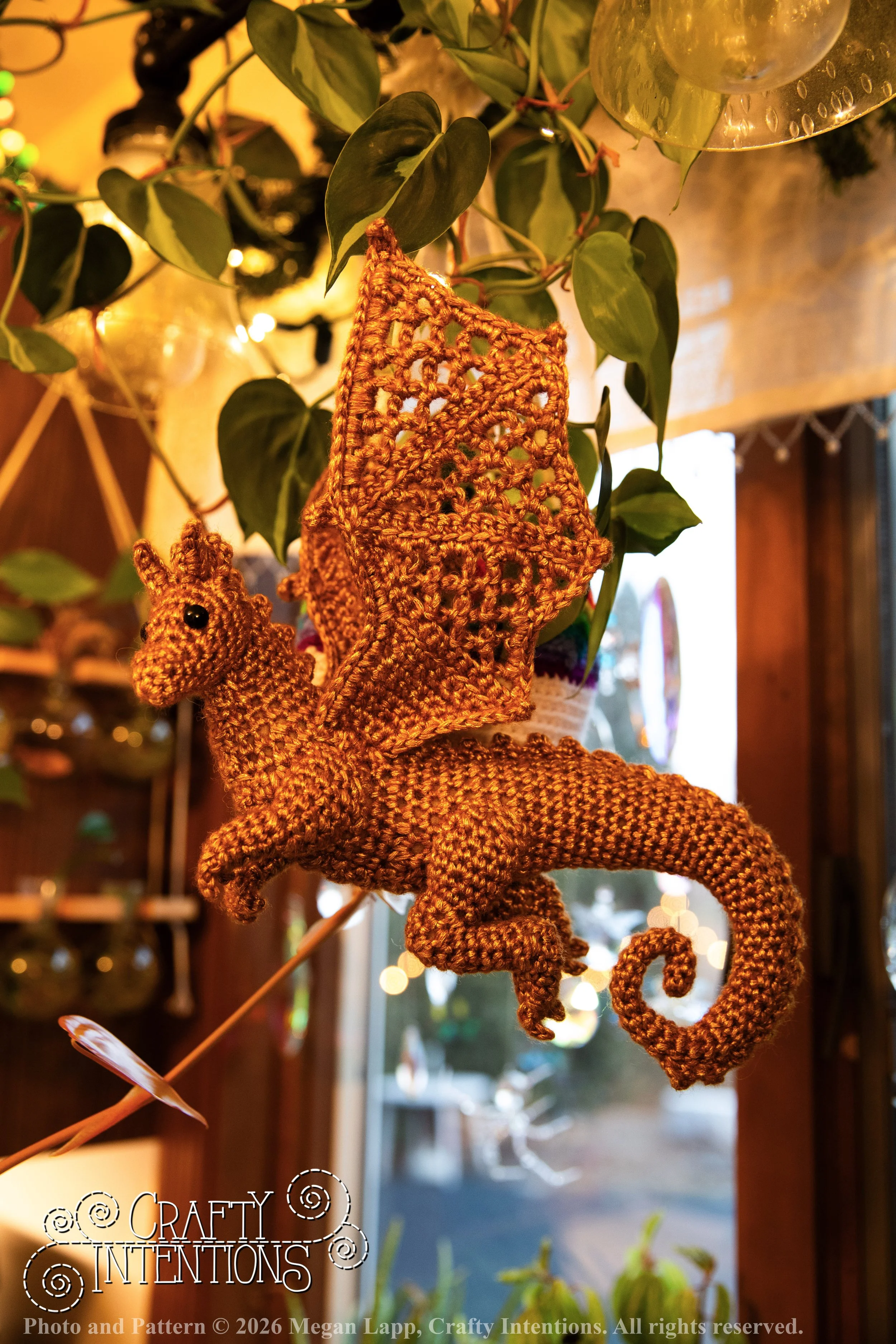 IMG_3103Edited Lace wing dragon wlac.jpg