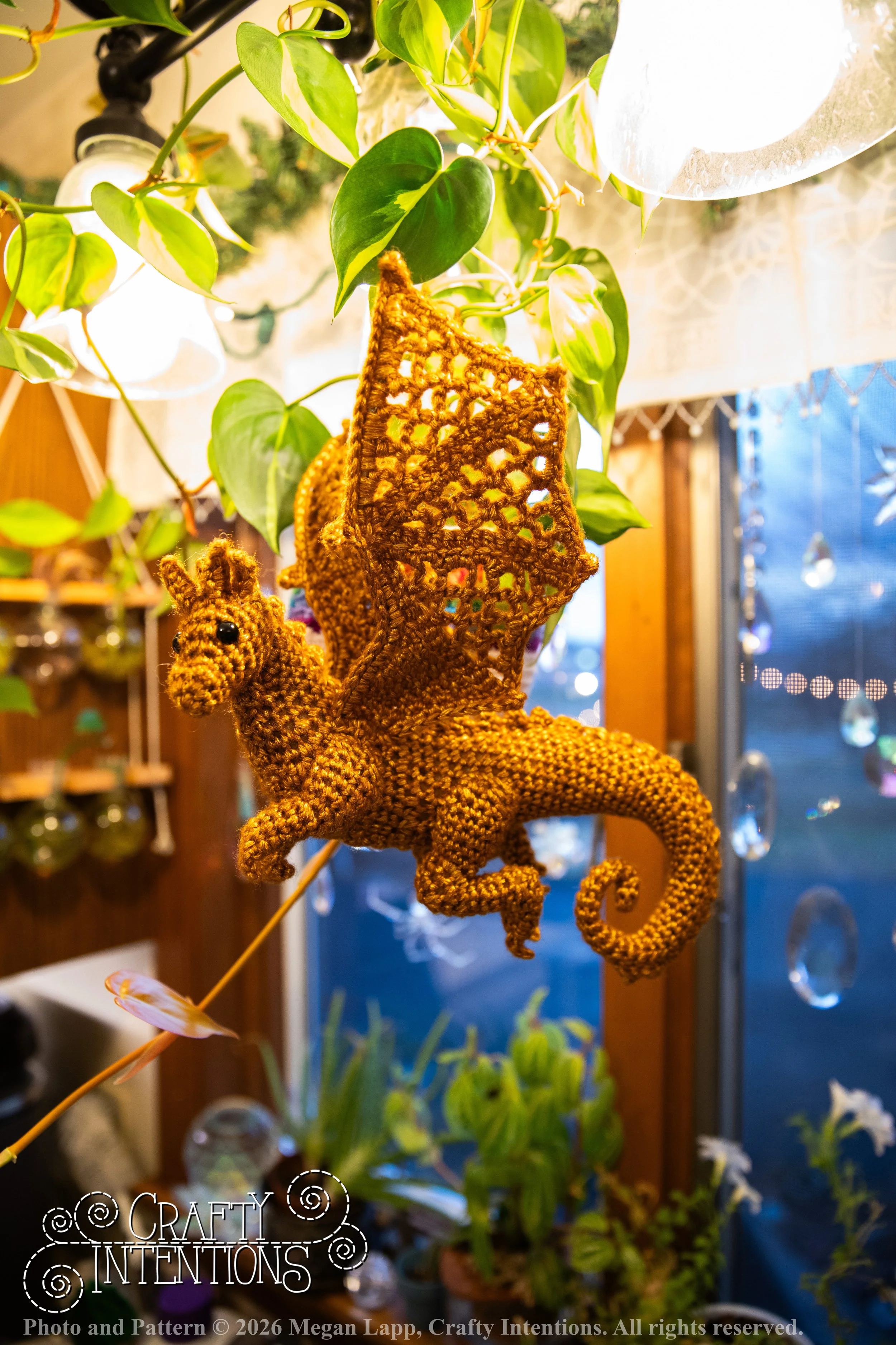 IMG_3116Edited Lace wing dragon wlac.jpg