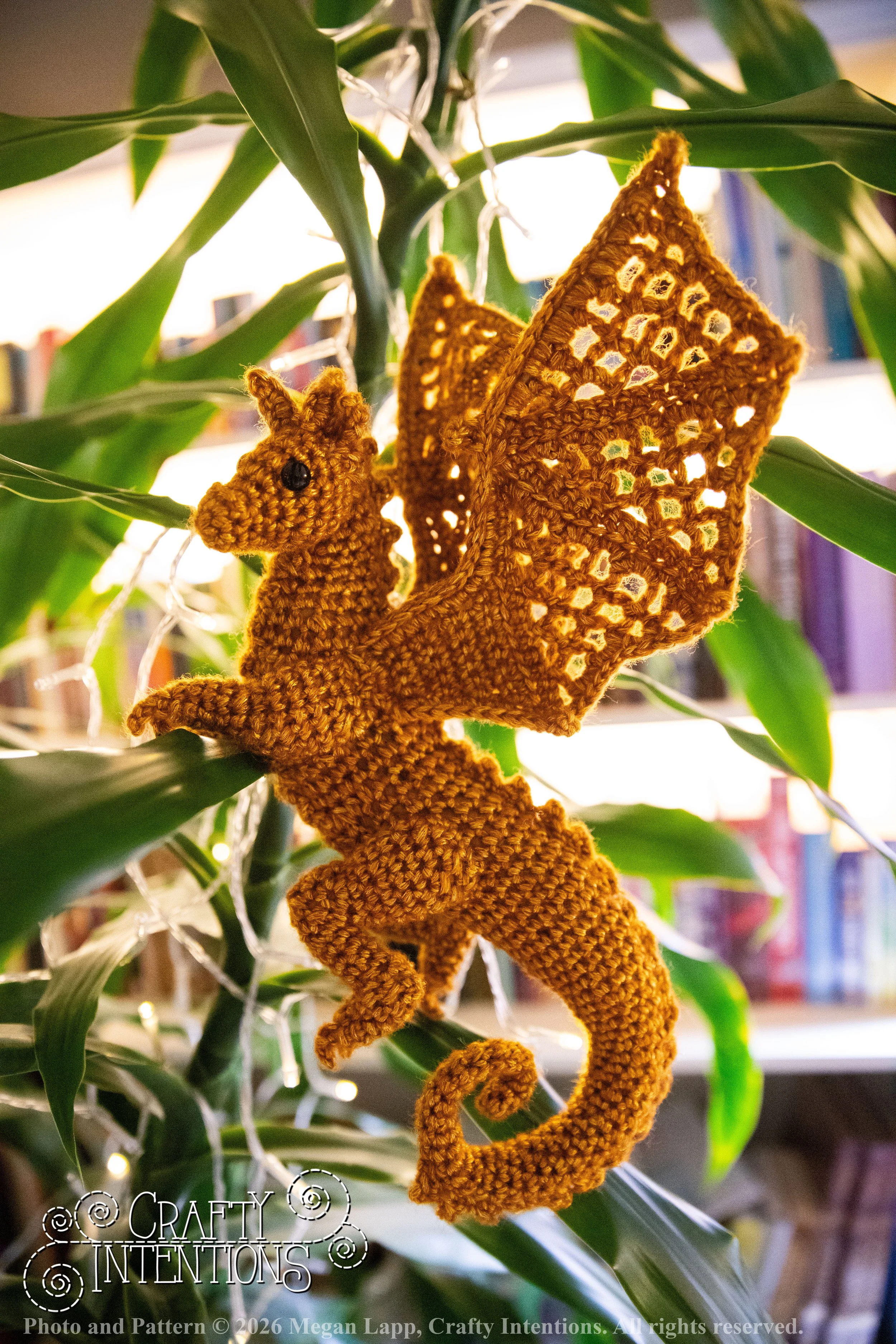 IMG_3213Edited Lace wing dragon wlac.jpg