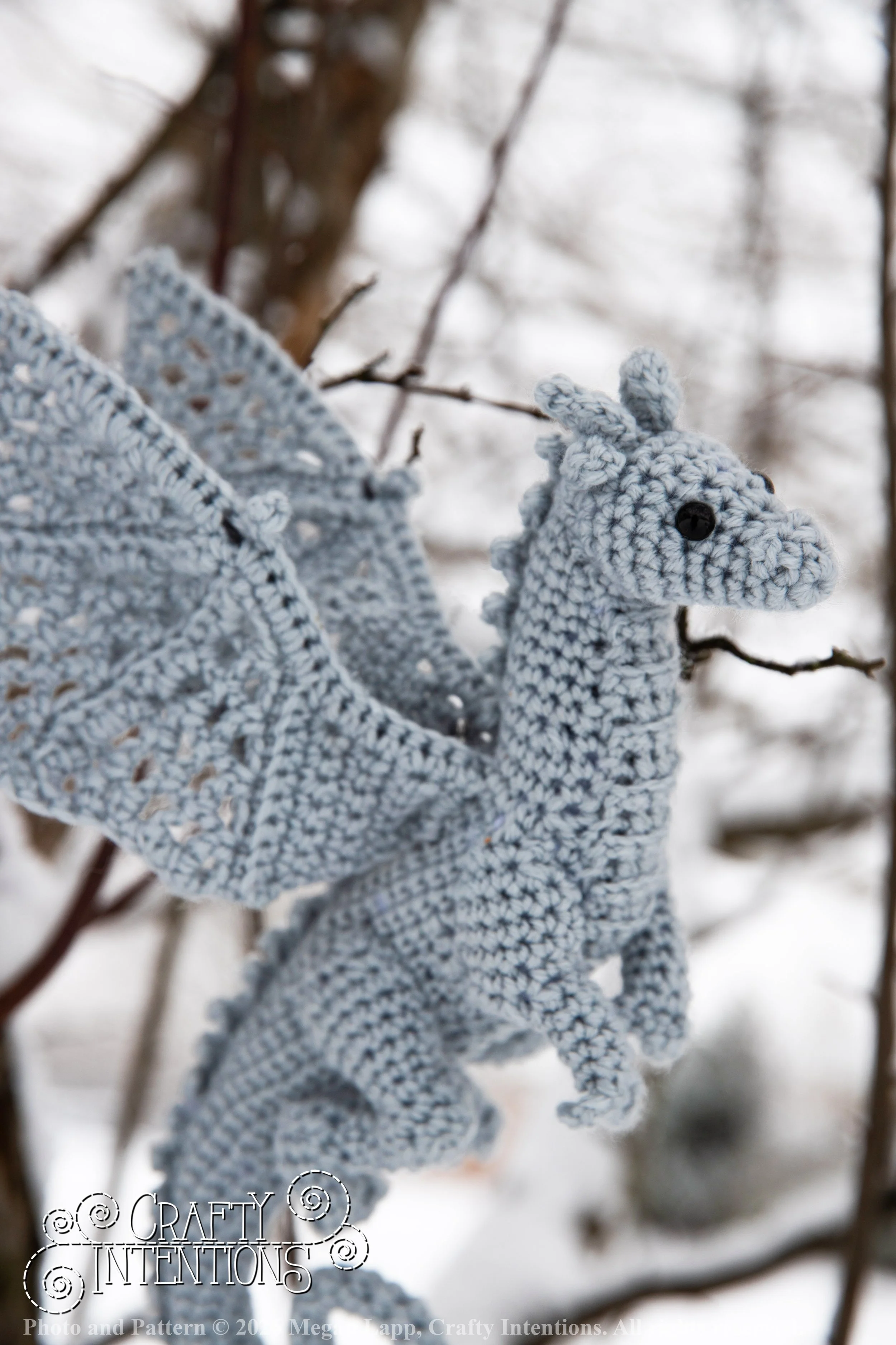 IMG_3237Edited Lace wing dragon wlac.jpg