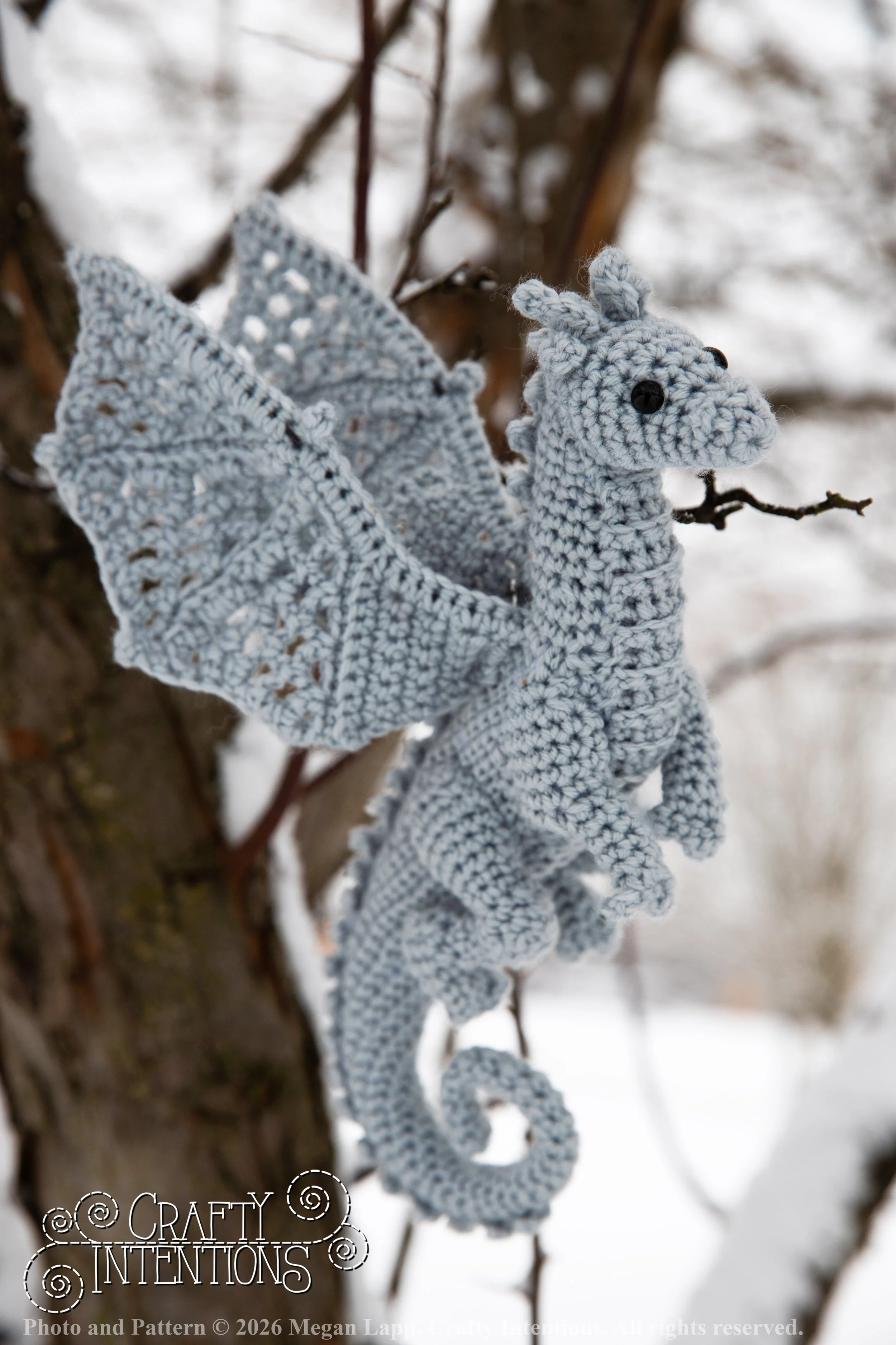 IMG_3242Edited Lace wing dragon2 wlac.jpg