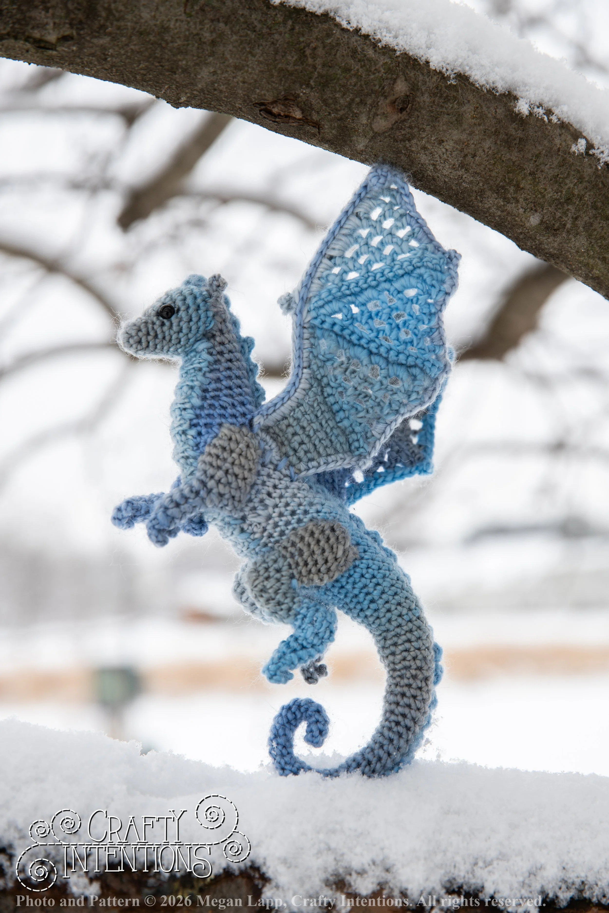 IMG_3252Edited Lace wing dragon wlac.jpg