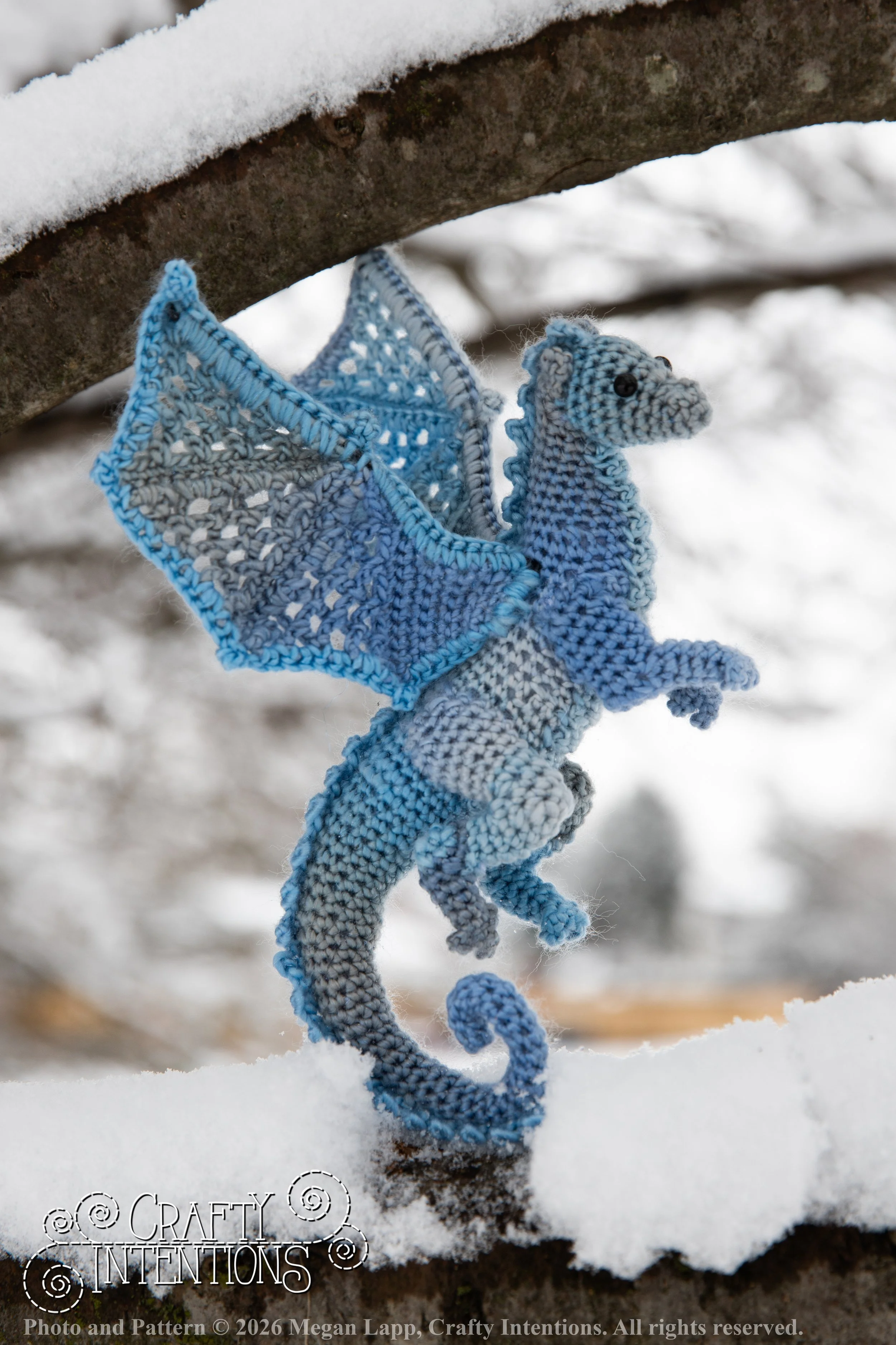 IMG_3268Edited Lace wing dragon wlac.jpg