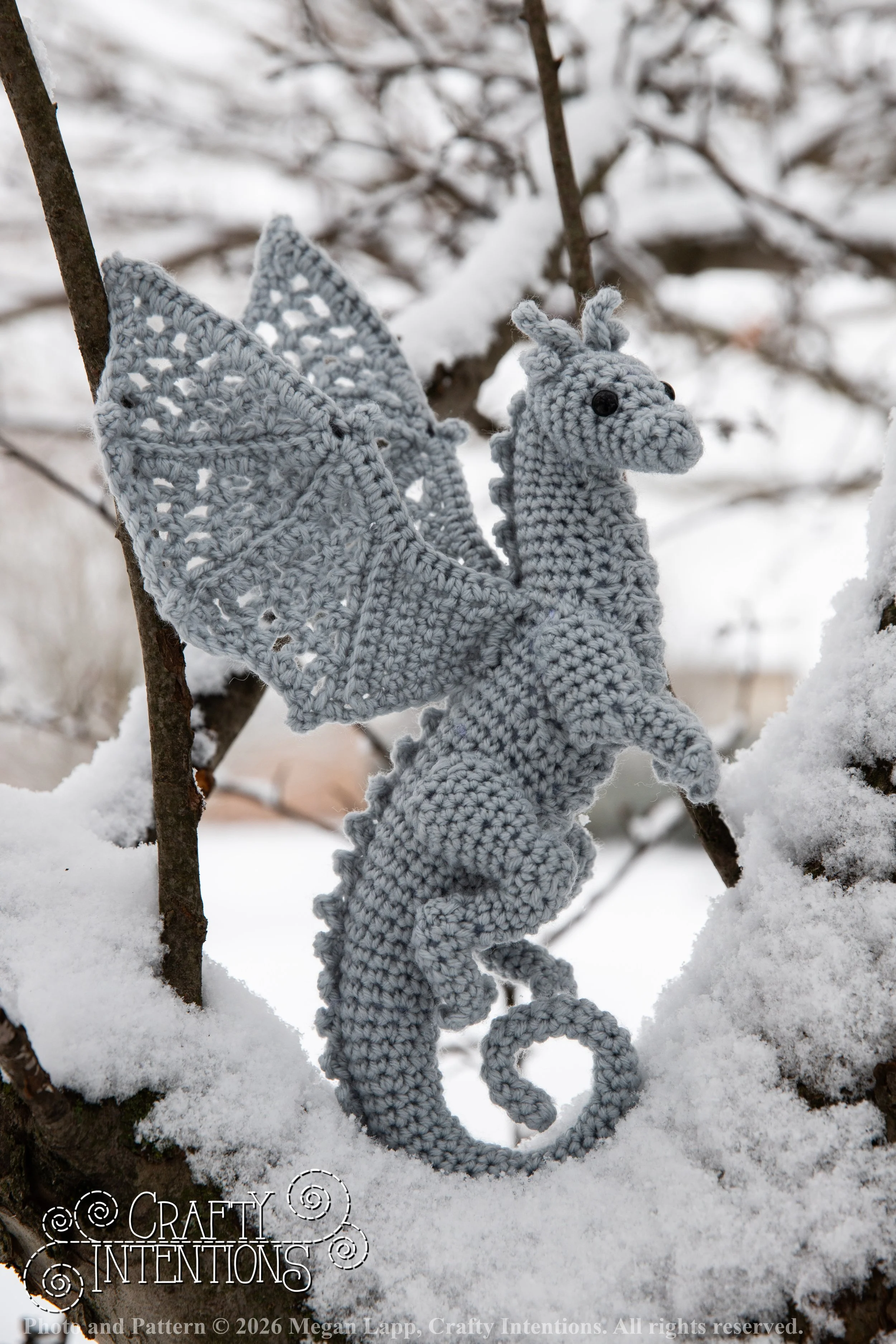 IMG_3271Edited Lace wing dragon wlac.jpg