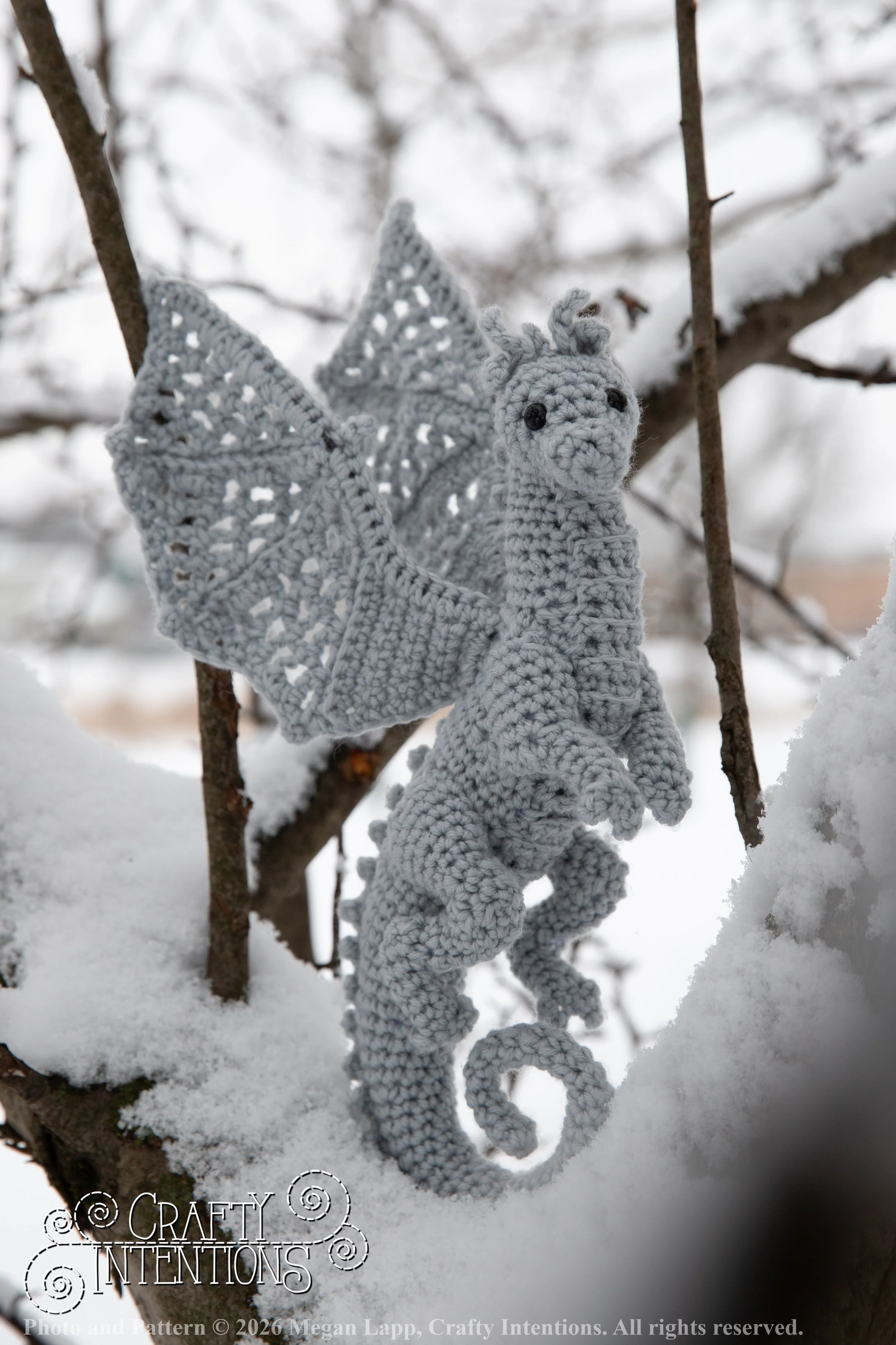 IMG_3281Edited Lace wing dragon wlac.jpg