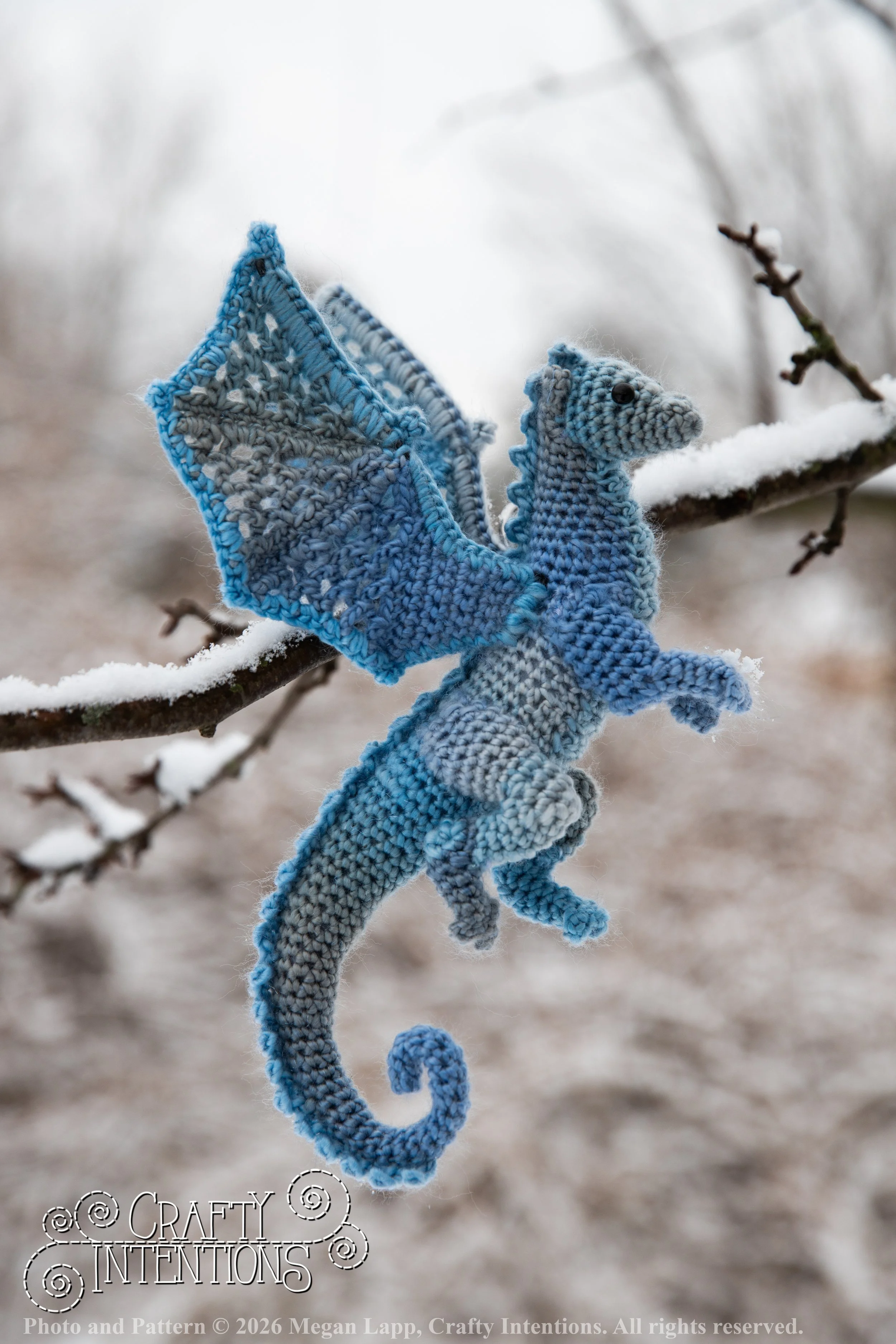 IMG_3291Edited Lace wing dragon wlac.jpg