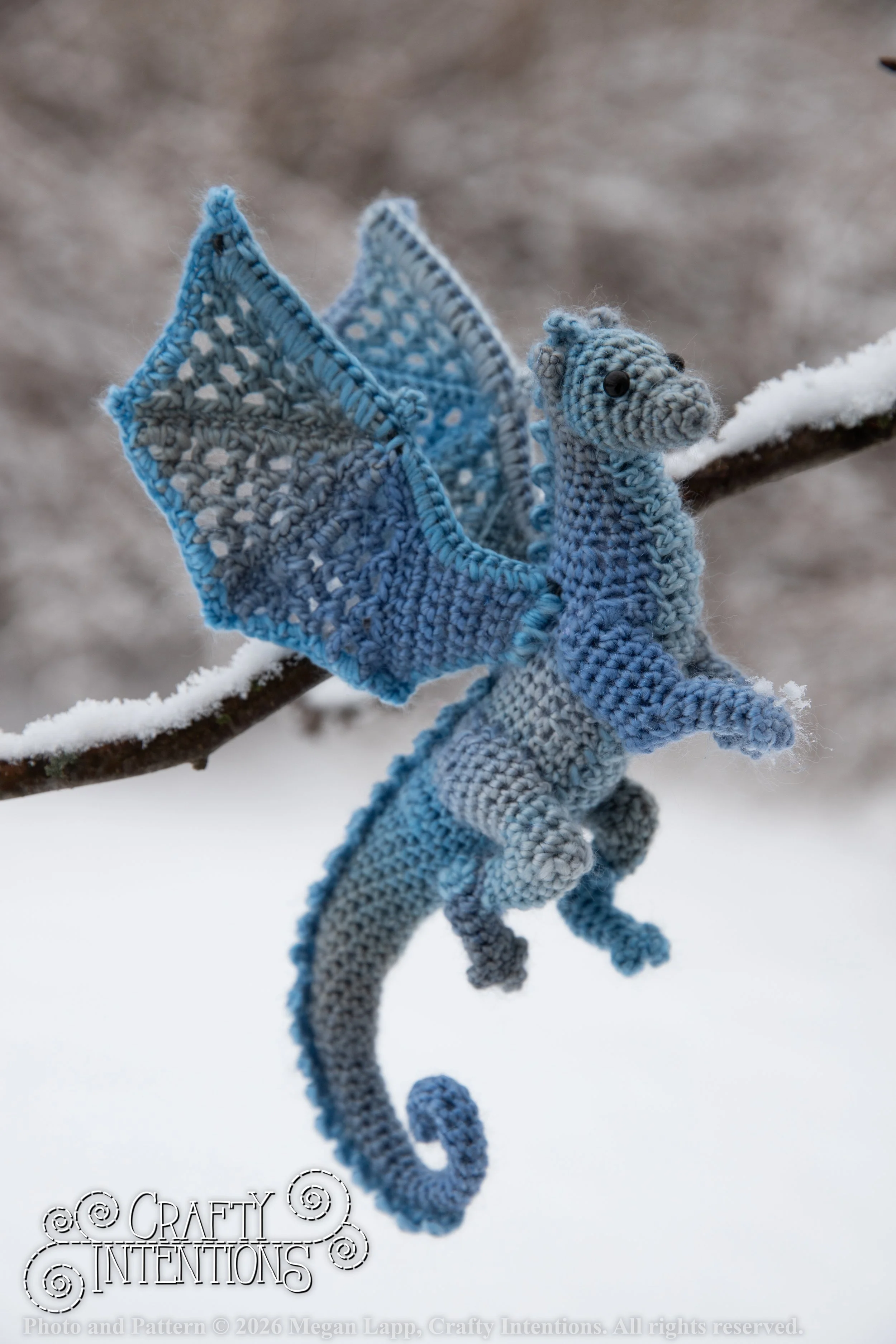 IMG_3294Edited Lace wing dragon wlac.jpg