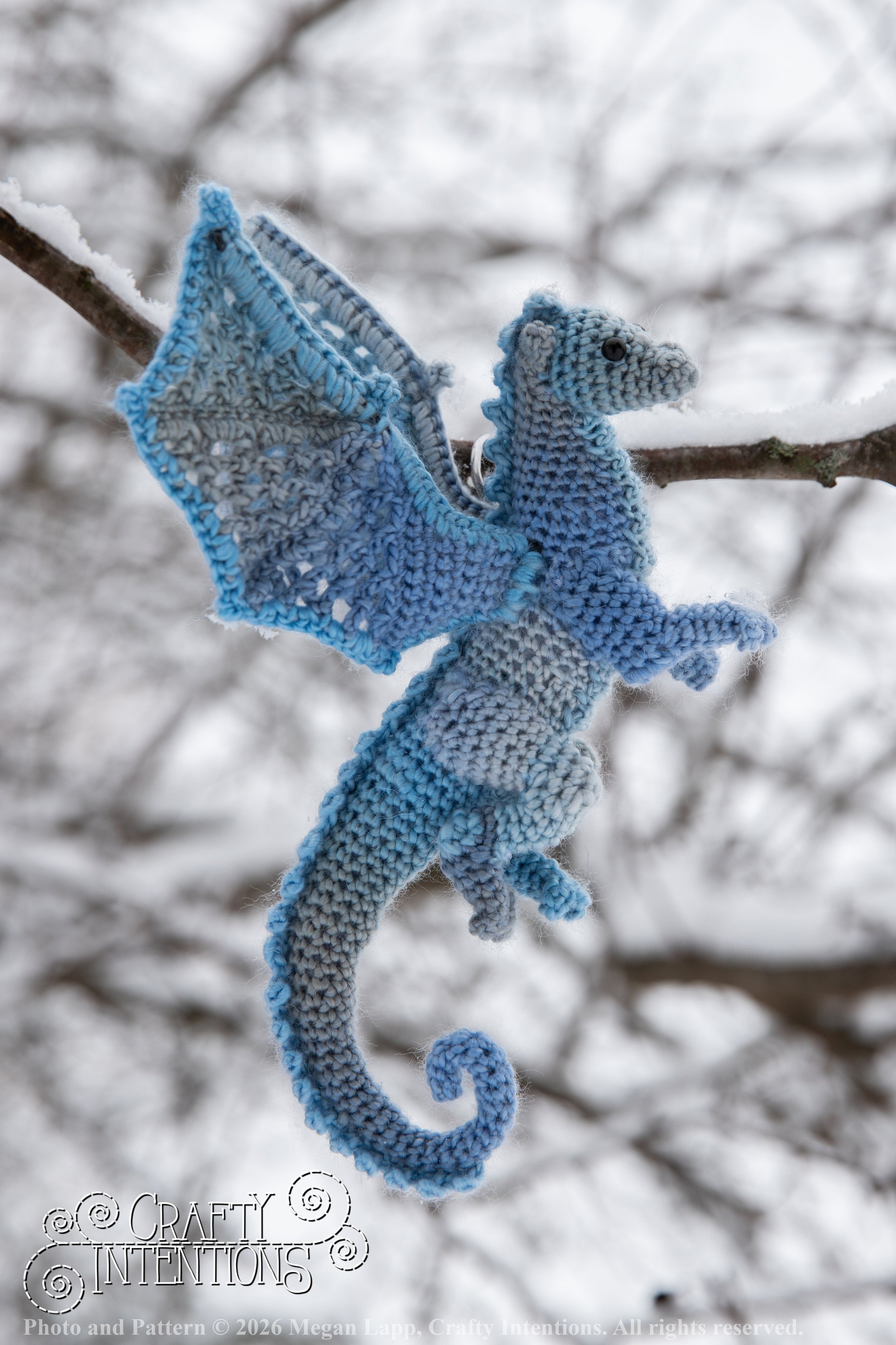 IMG_3307Edited Lace wing dragon wlac.jpg