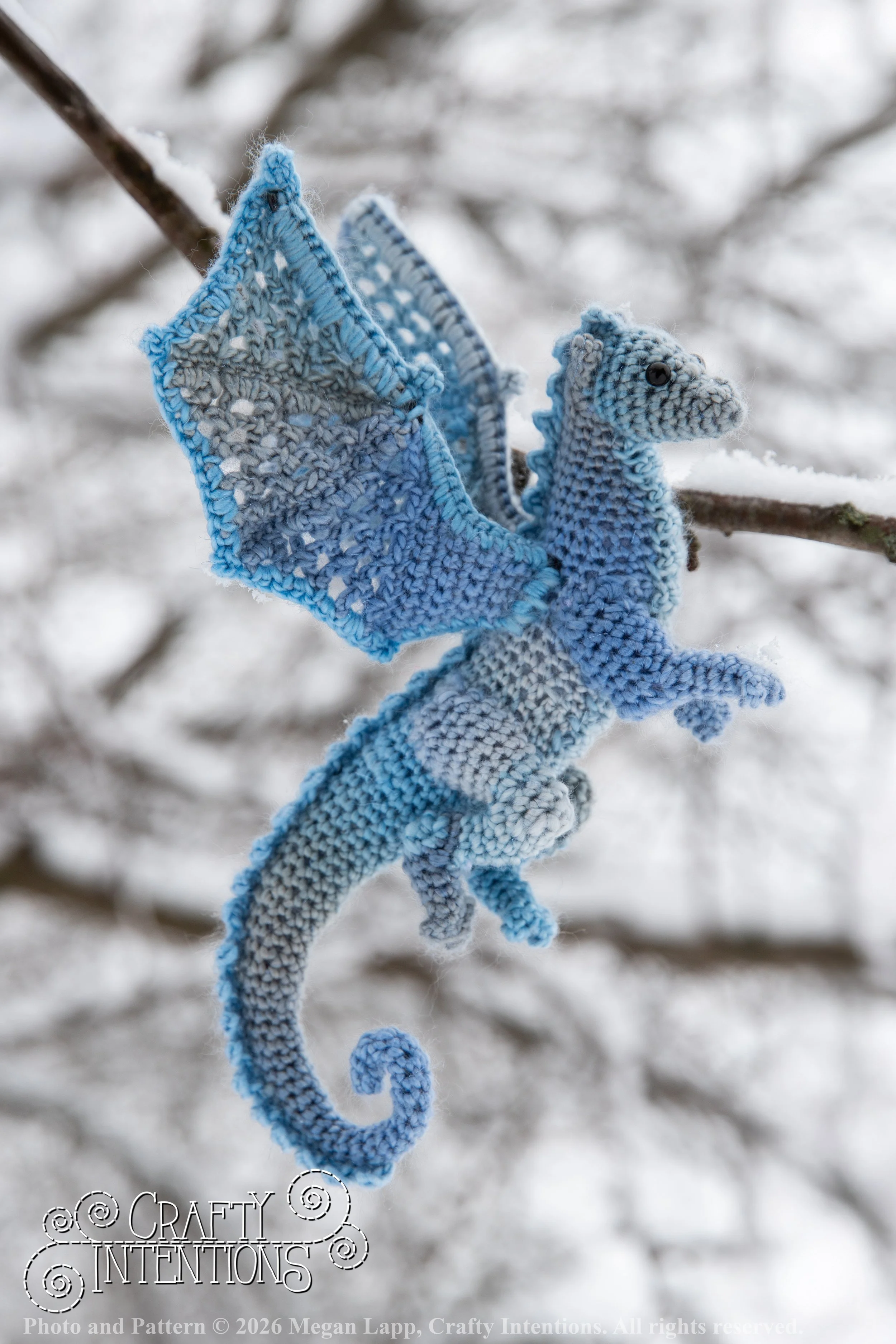 IMG_3310Edited Lace wing dragon2 wlac.jpg