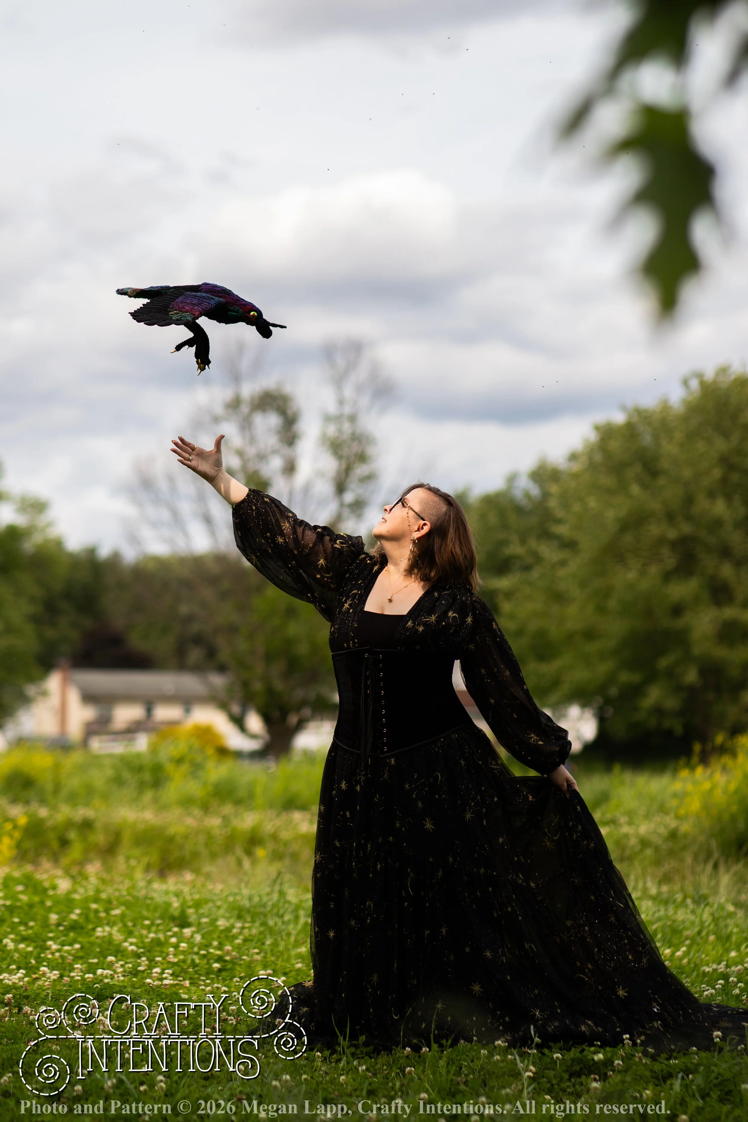 IMG_1202Edited flying raven_wlac.jpg