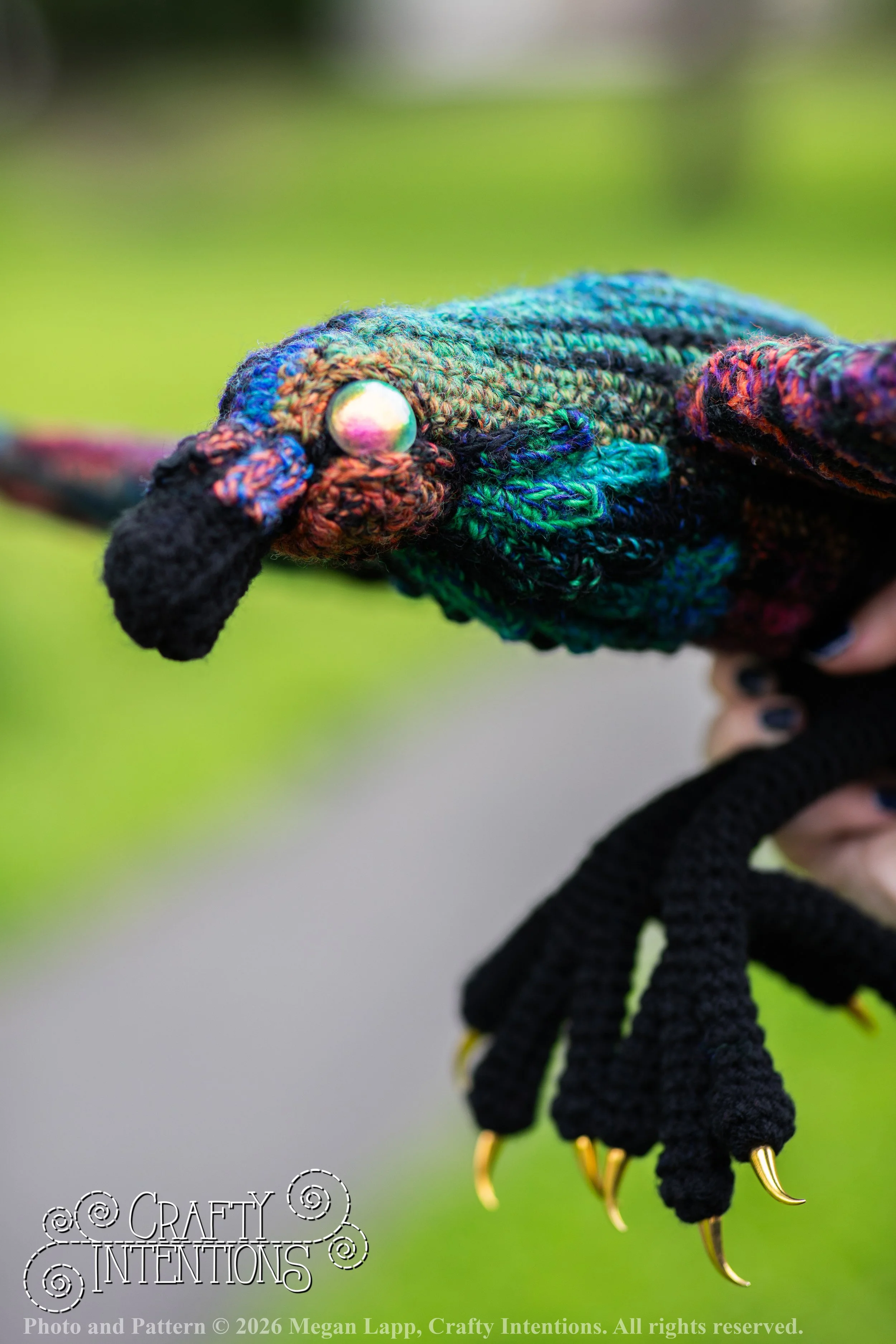 IMG_1283Edited flying raven_wlac.jpg