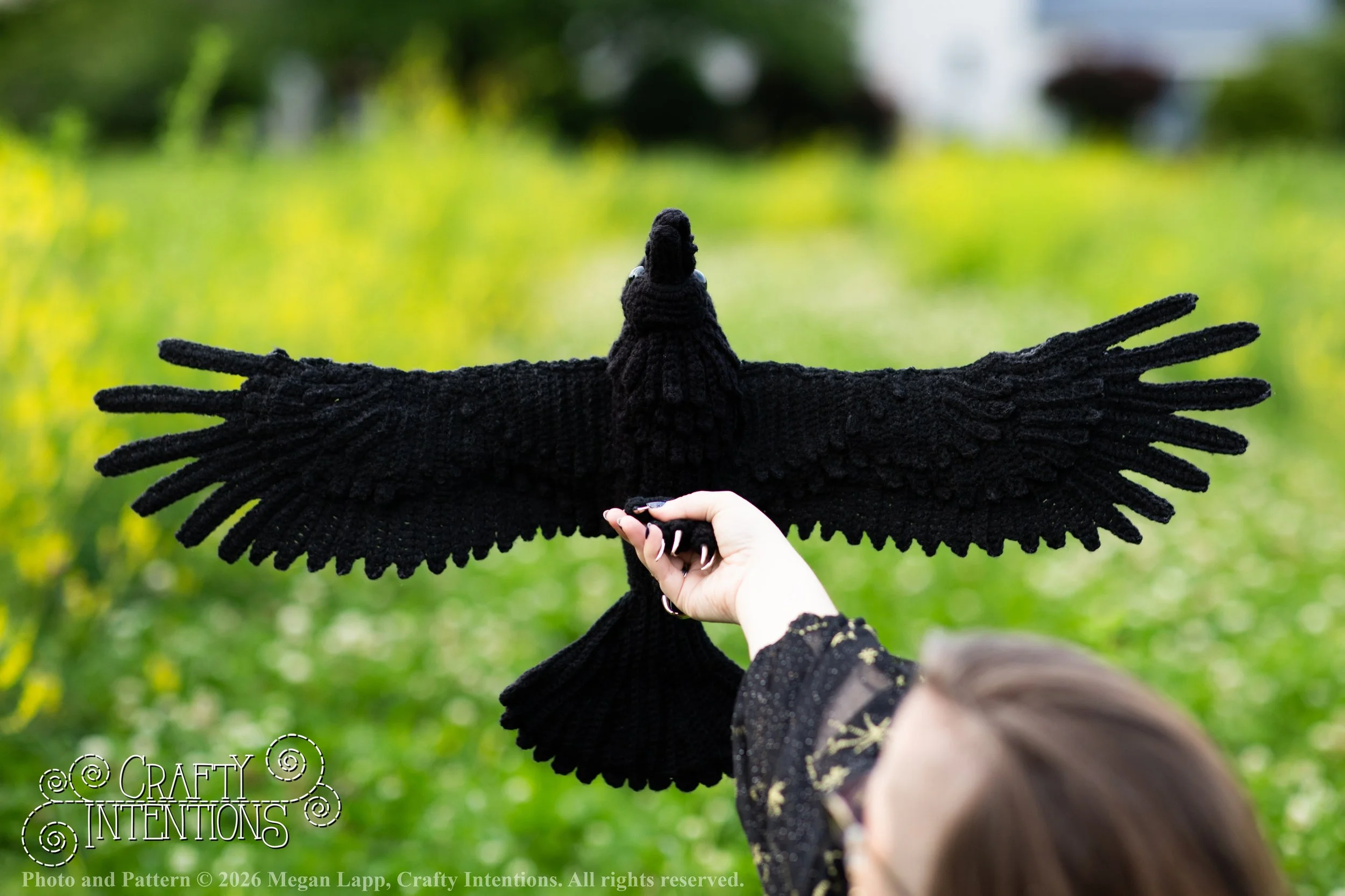 IMG_2902Edited flying raven_2wlac.jpg