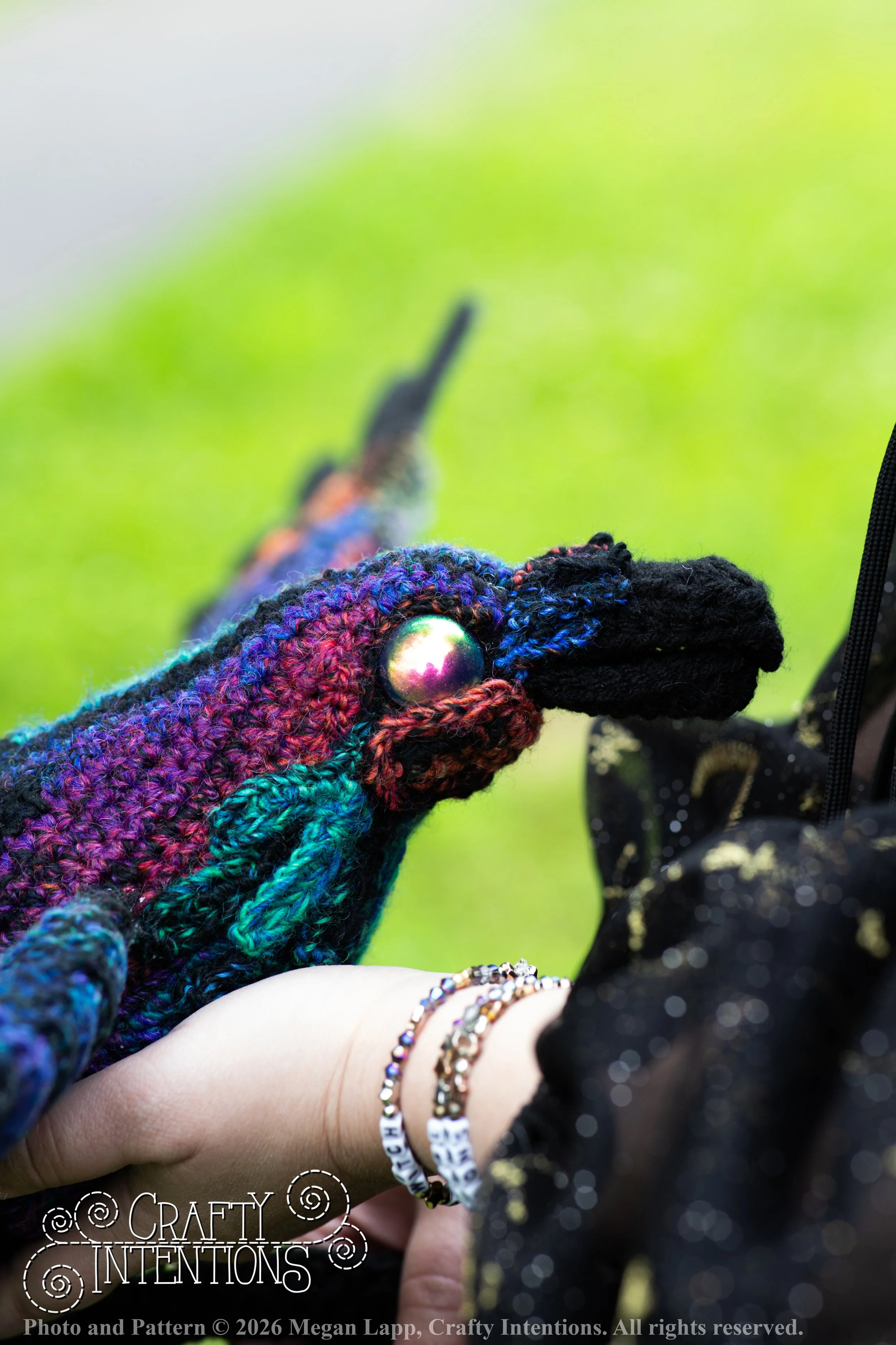 IMG_1244Edited flying raven wlac.jpg