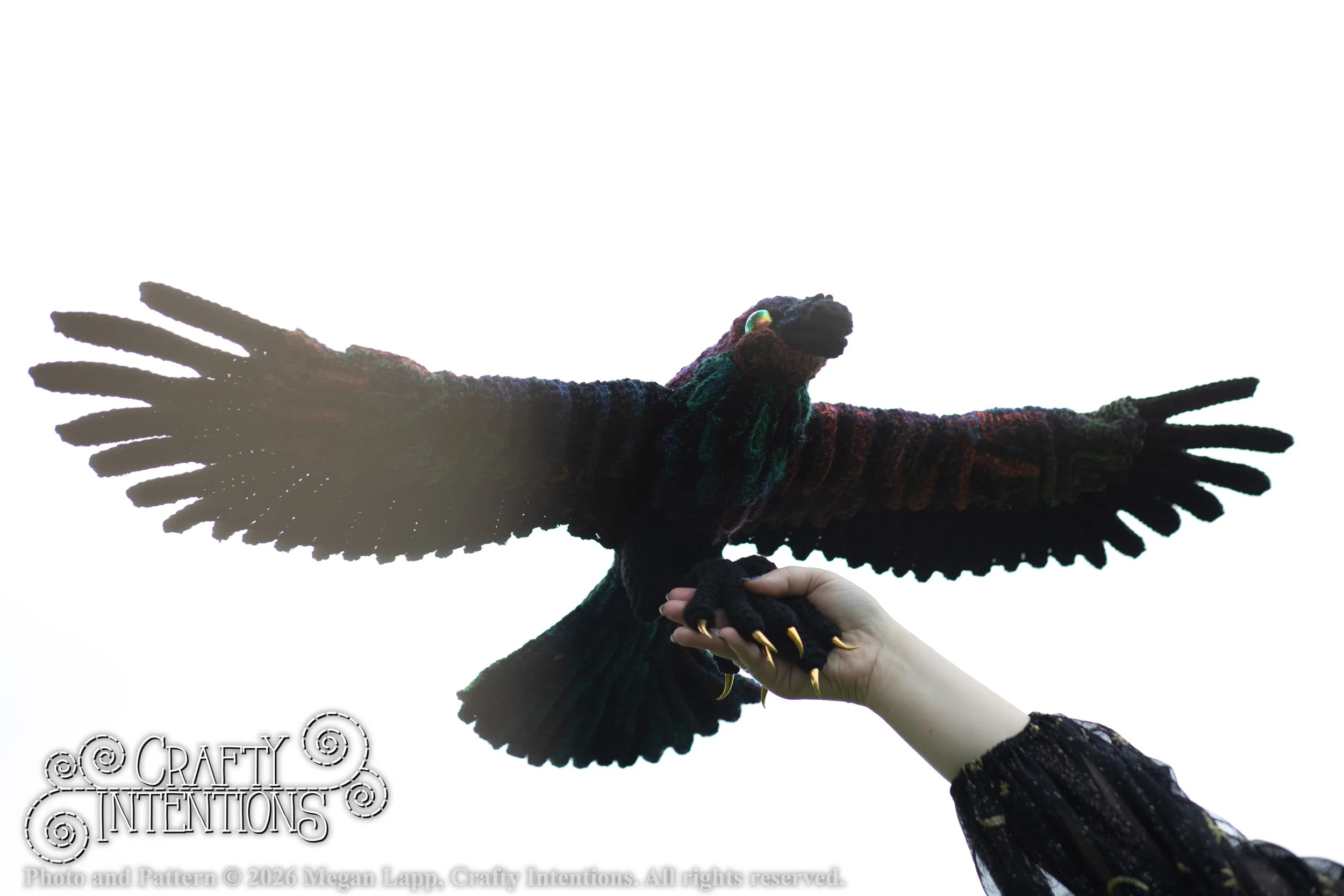 IMG_1257Edited flying raven wlac.jpg