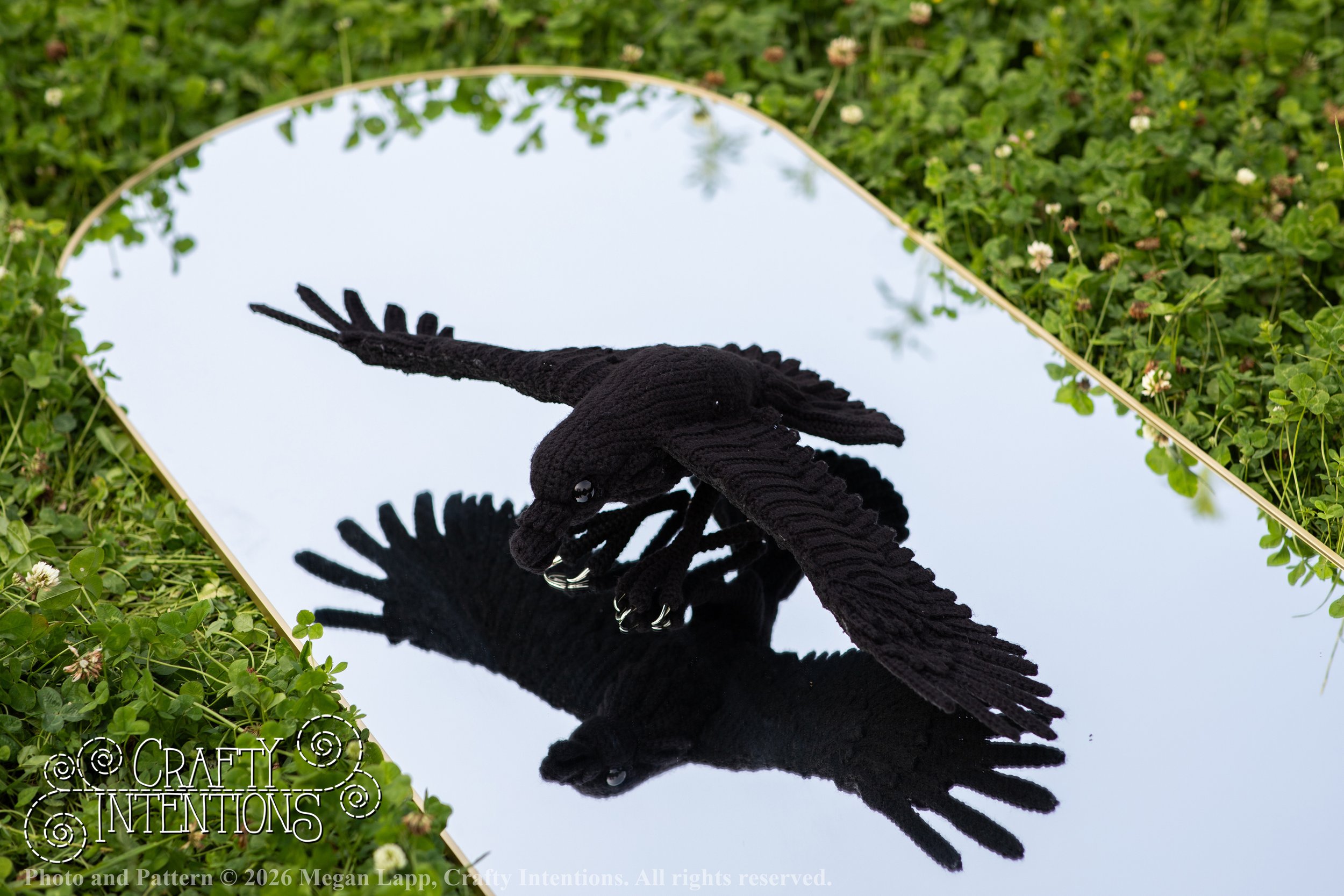 IMG_2729Edited flying raven wlac.jpg