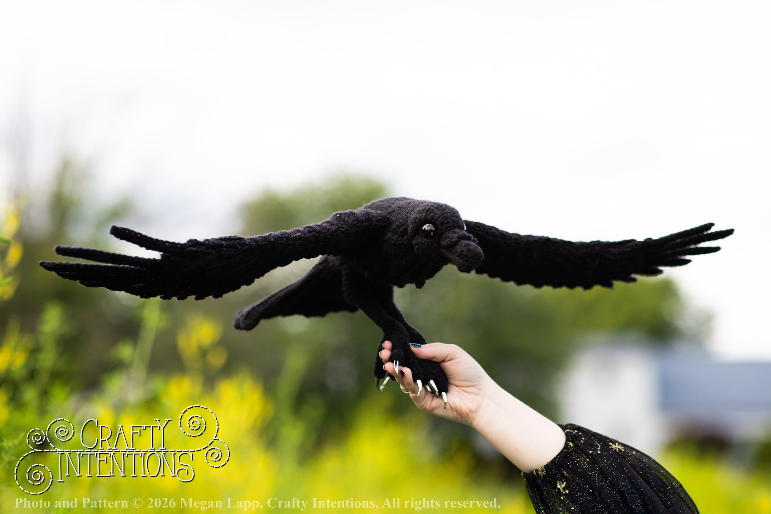 IMG_2888Edited flying raven2 wlac.jpg