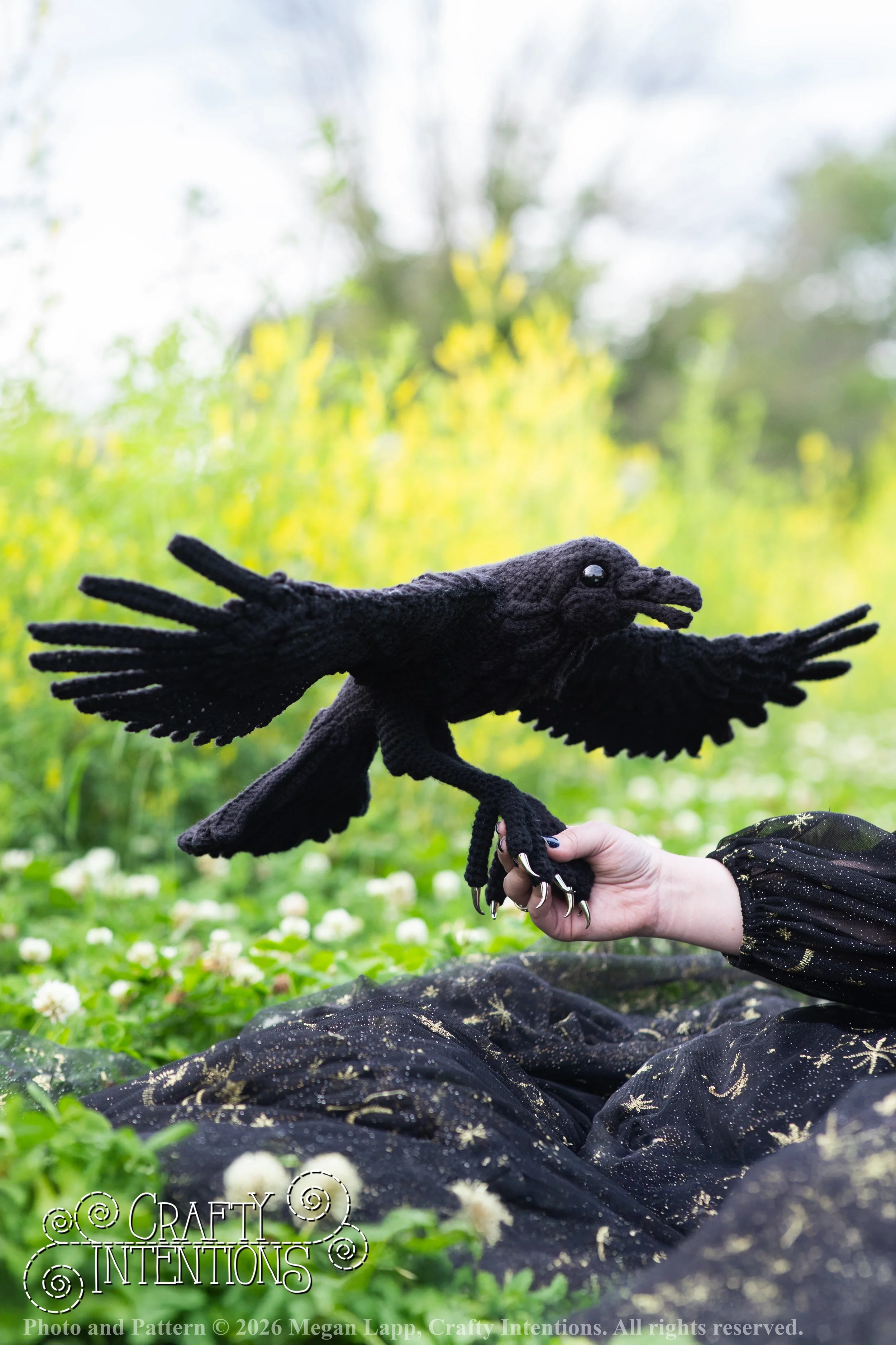 IMG_2926Edited flying raven2 wlac.jpg