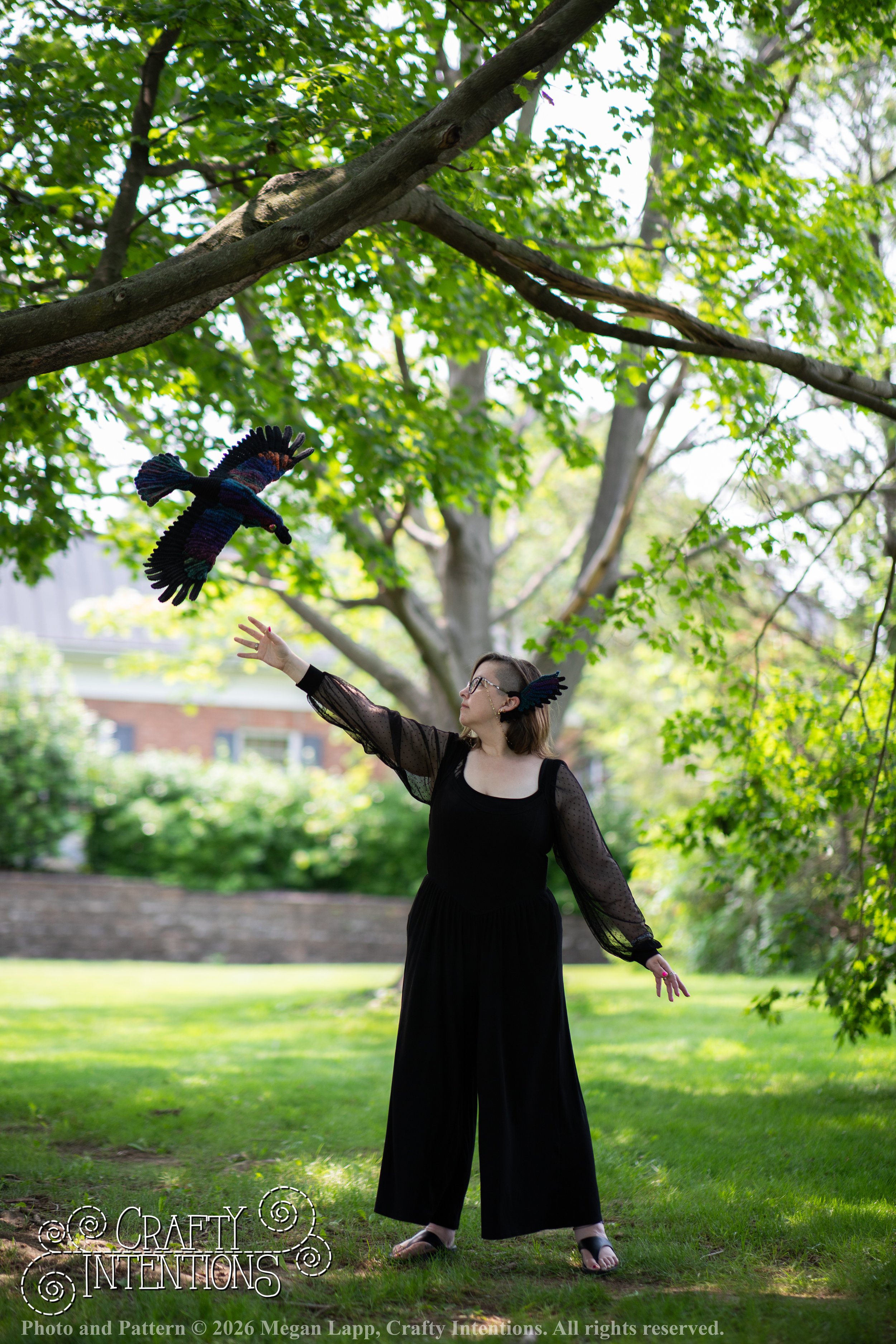 IMG_5368Edited flying raven 2 wlac.jpg