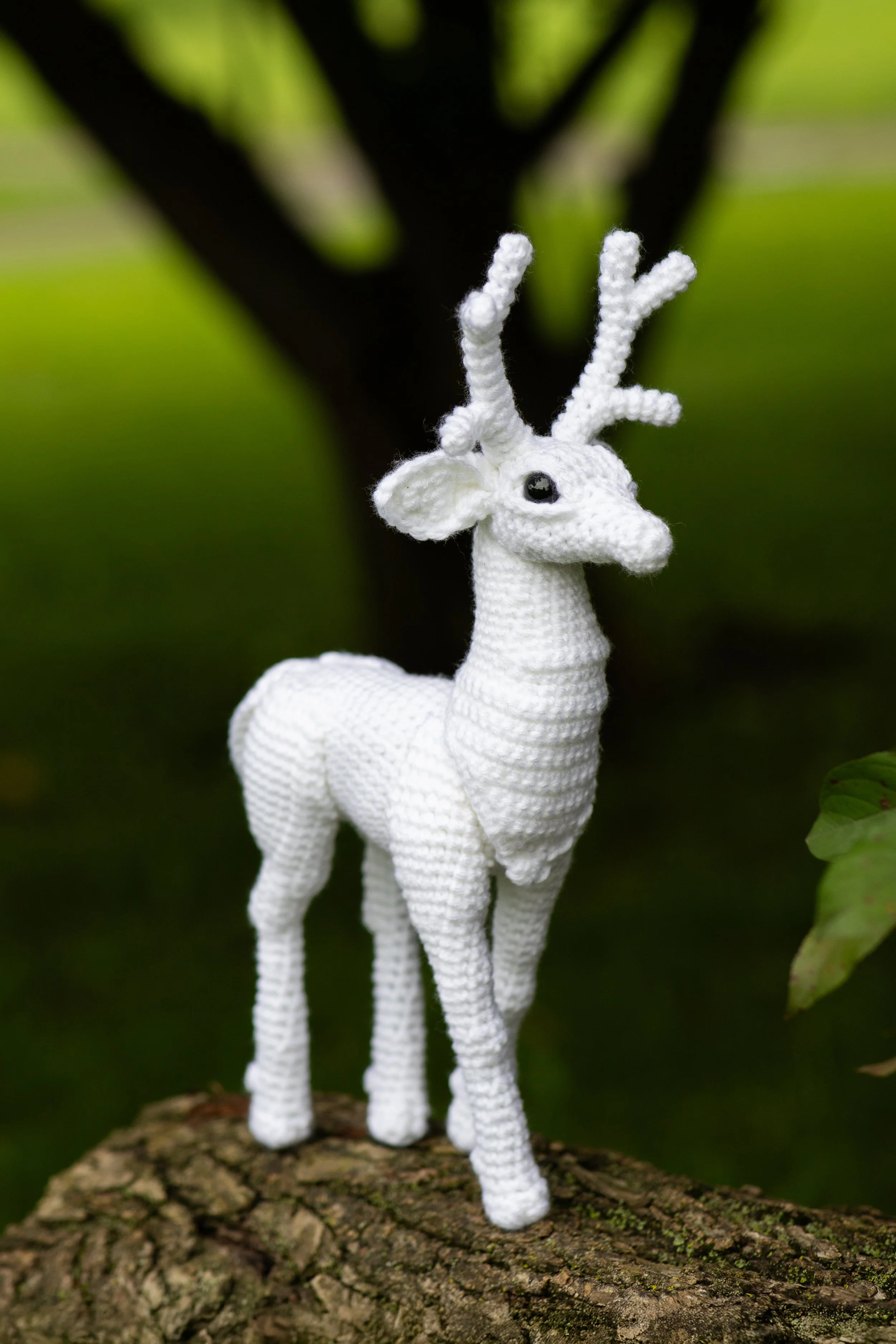 IMG_8649deerandpen edits_2.jpg