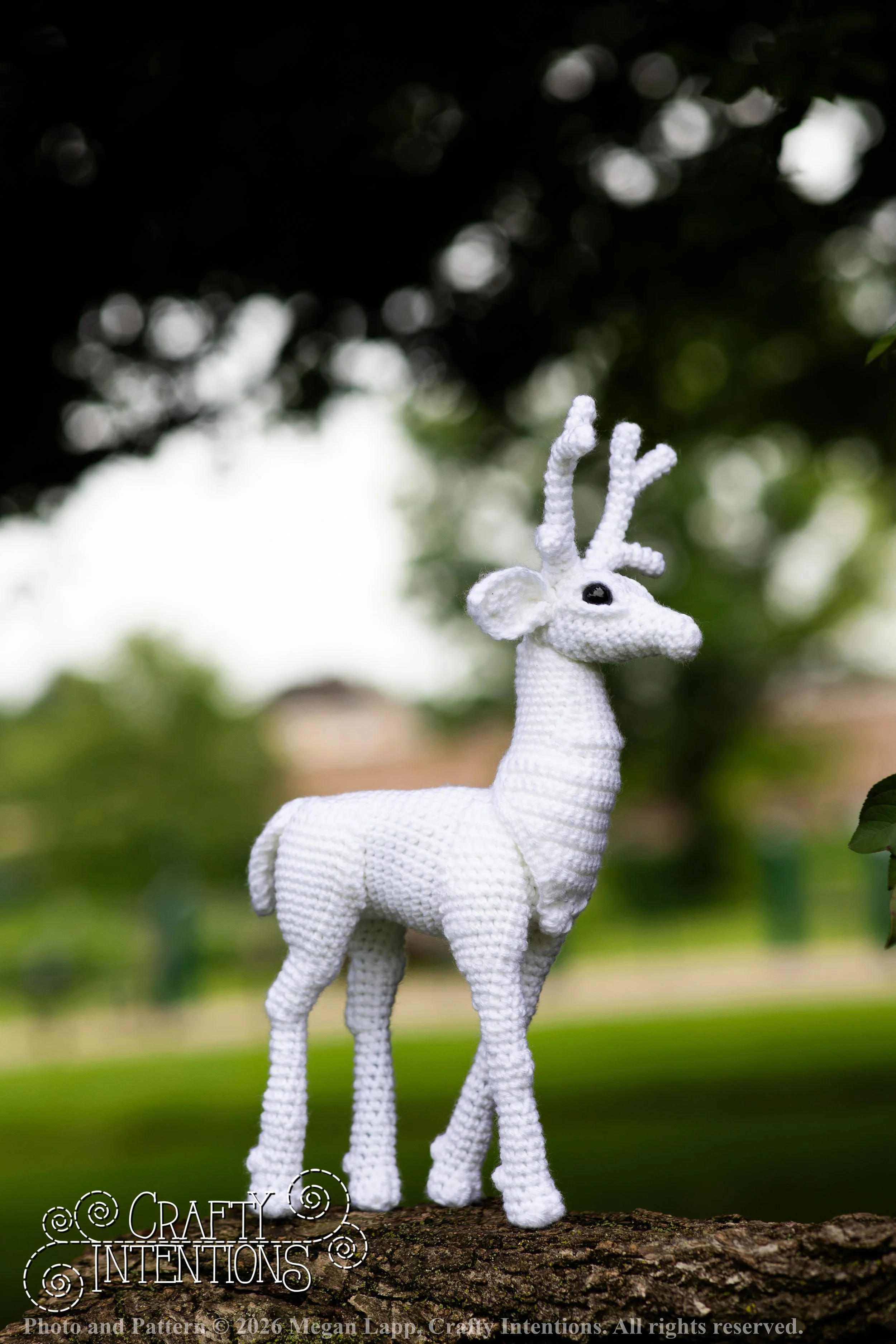 IMG_8655deerandpen edits_wlac.jpg