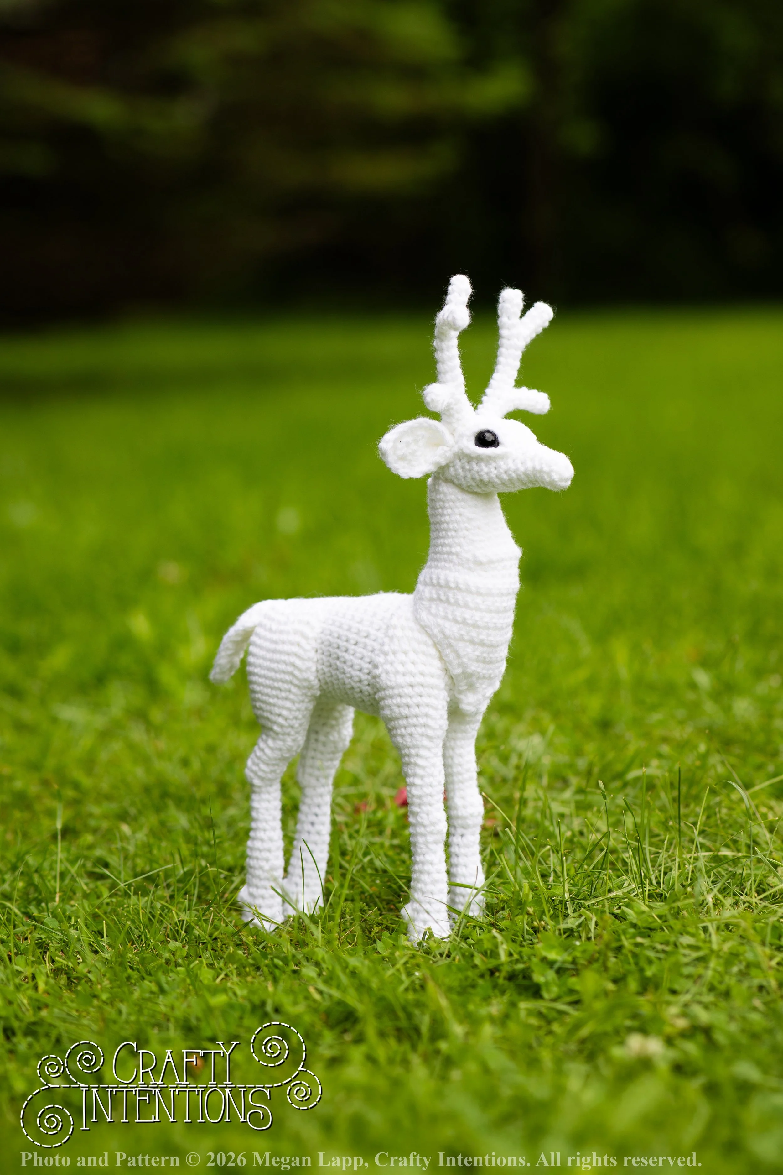 IMG_8659deerandpen edits_2wlac.jpg