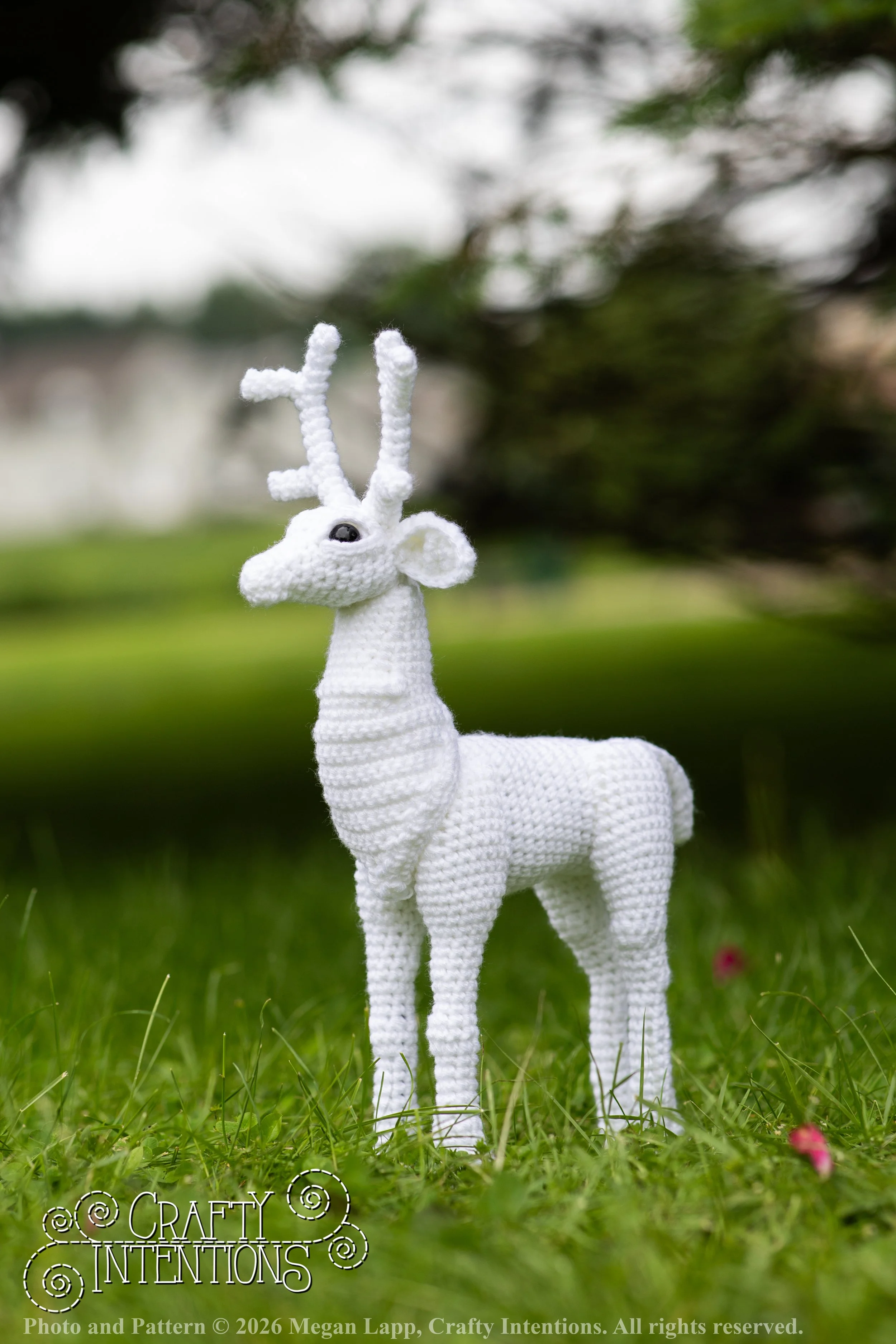 IMG_8663deerandpen edits_wlac.jpg