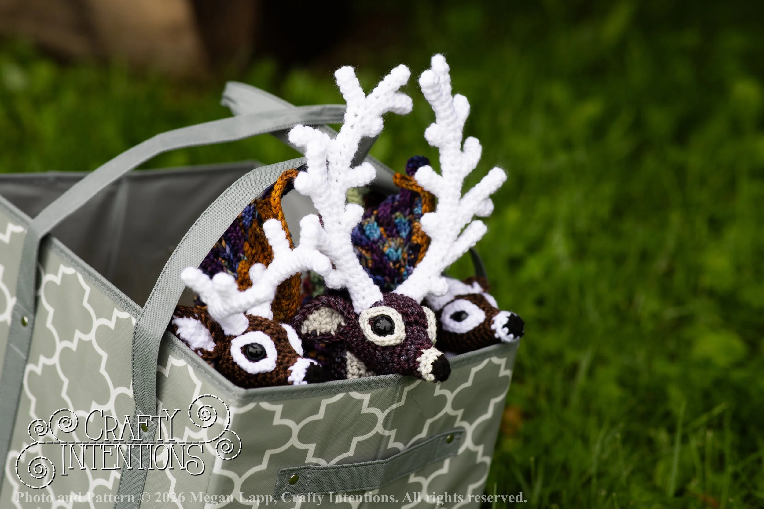 IMG_8667deerandpen edits_wlac.jpg