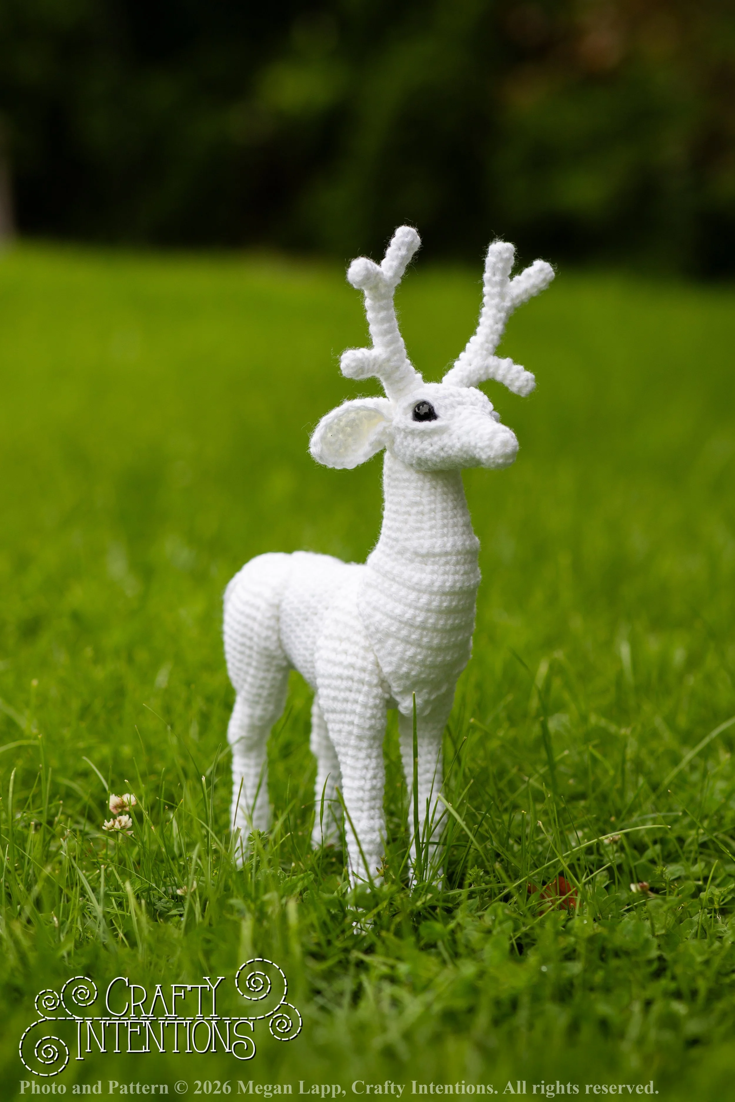 IMG_8669deerandpen edits_2 wlac.jpg