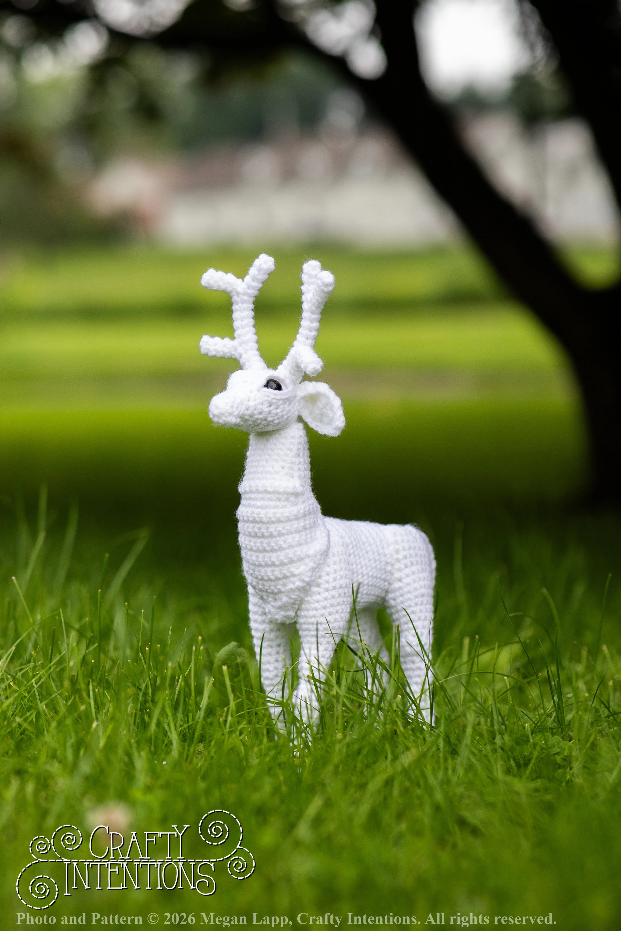 IMG_8674deerandpen edits_wlac.jpg